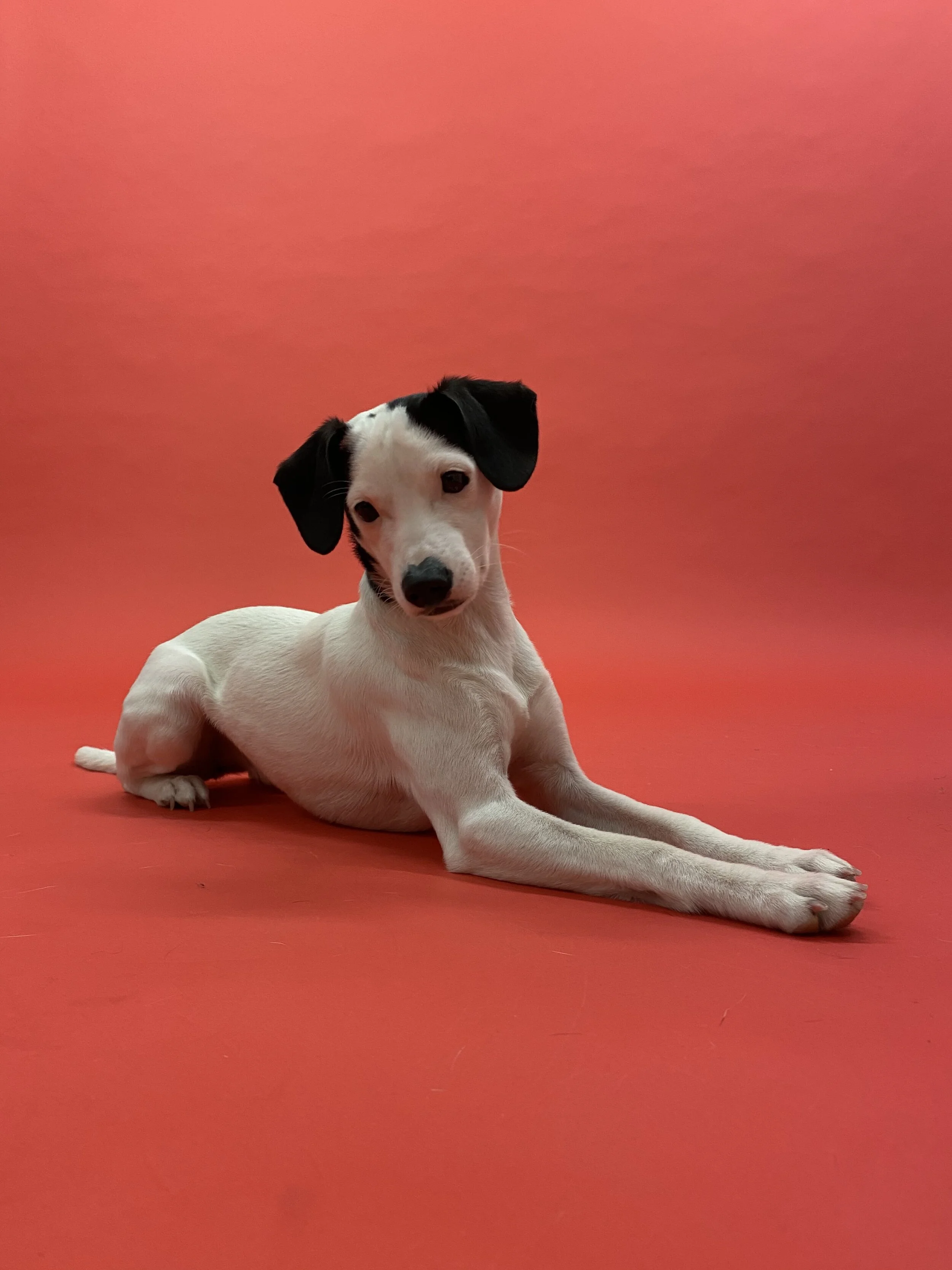 F7E46A76-2C65-45D4-9355-4589BFBF97A1