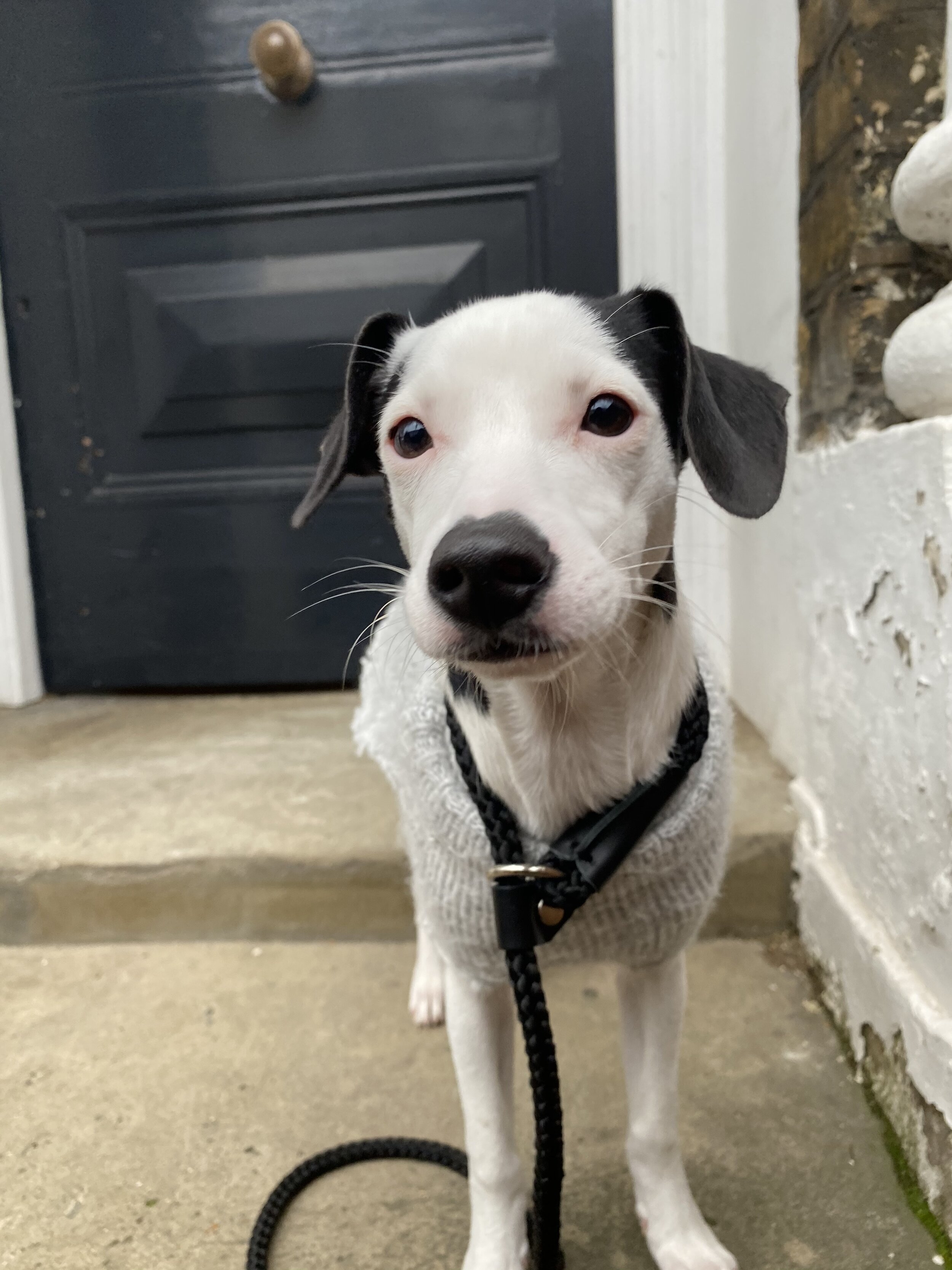 E556CB17-8E60-414D-96B2-7217D1BFC231