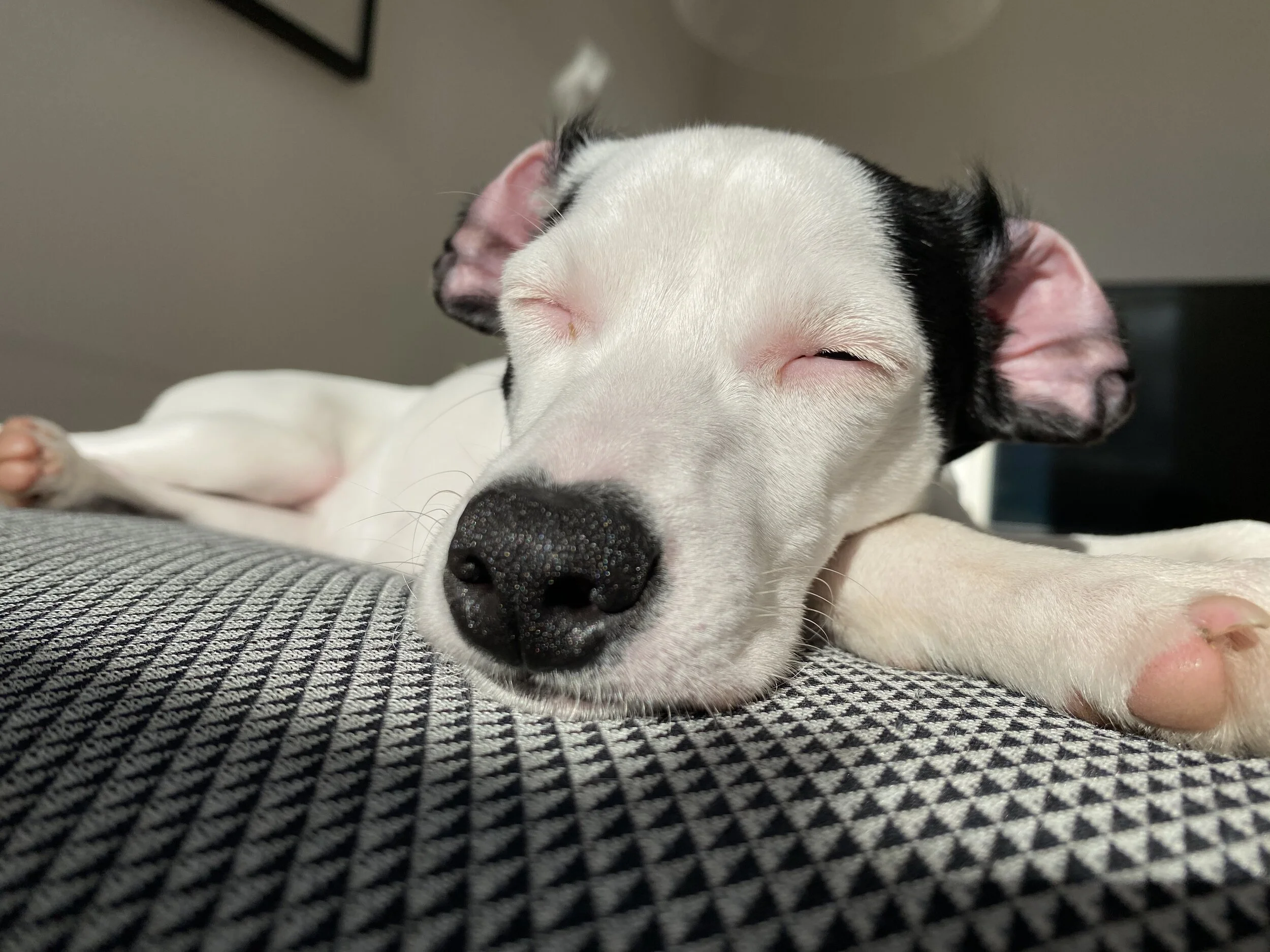 F6640C12-CAFC-4D26-BAE4-2424058F4895