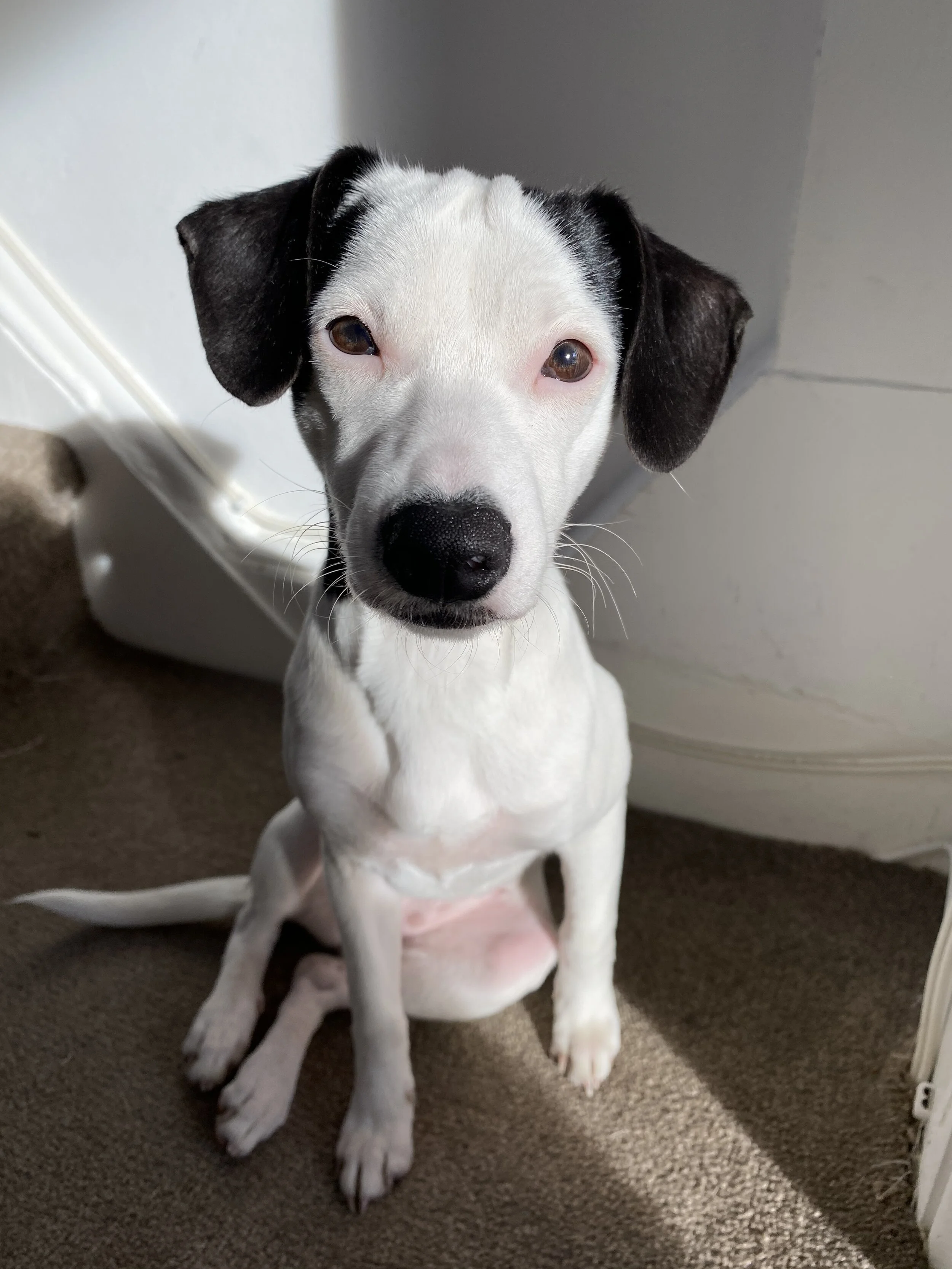 E4B24358-750F-406E-ABA3-E07EFE6E7E80