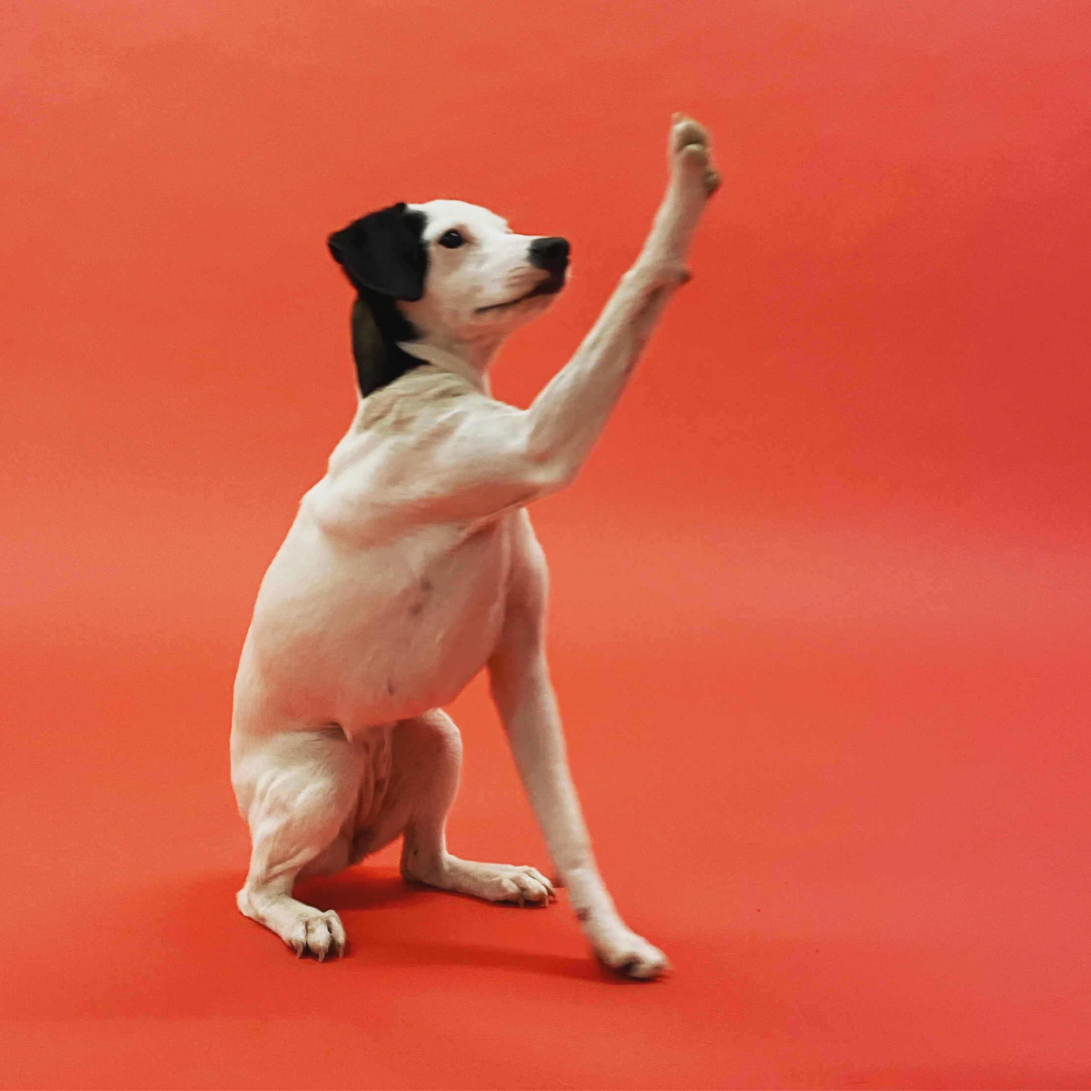 EF026E1C-A3B7-44E2-8AAD-2EE2BAF43A2F