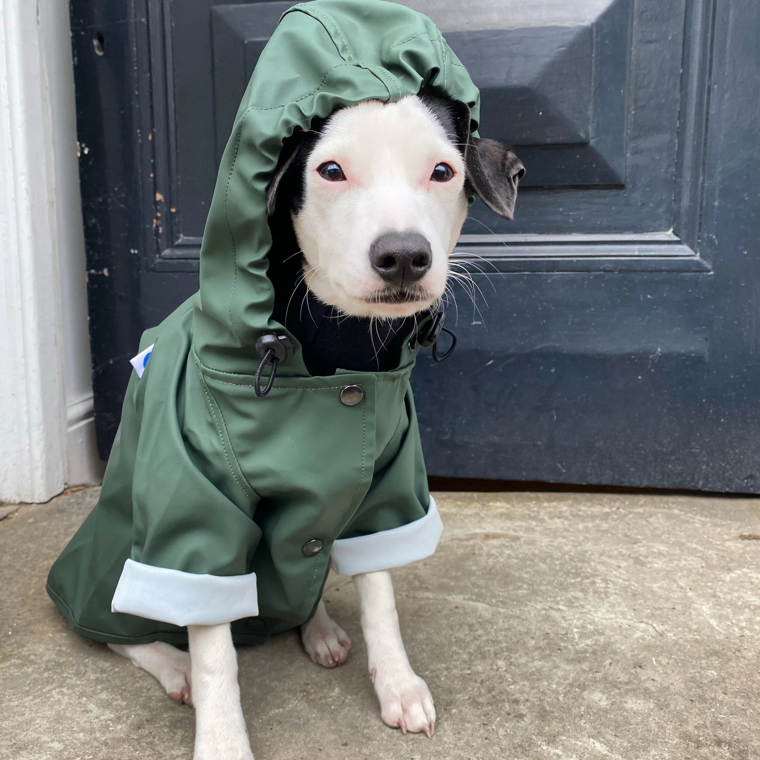 0231F708-966F-4C41-BF75-21B741E423C0