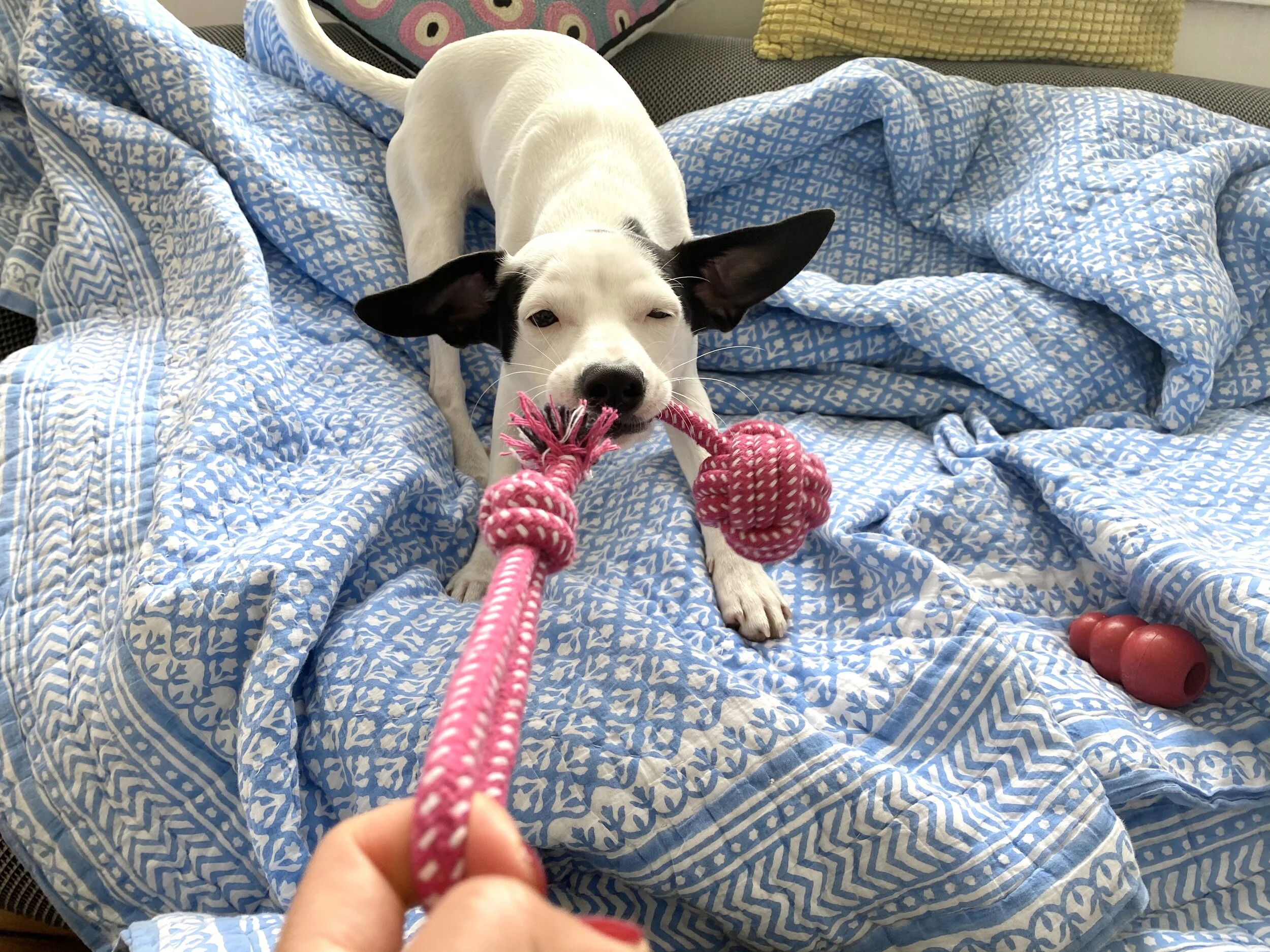 789816F0-1D16-4F7D-AE6C-A69322E32D14