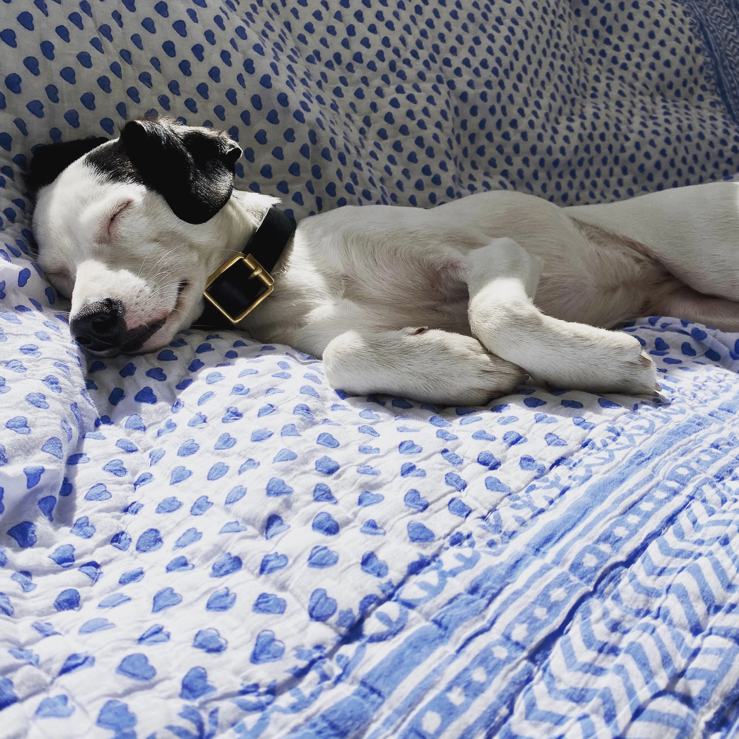 74DA660F-1C47-4859-BEA8-5A7B6F13AA2F