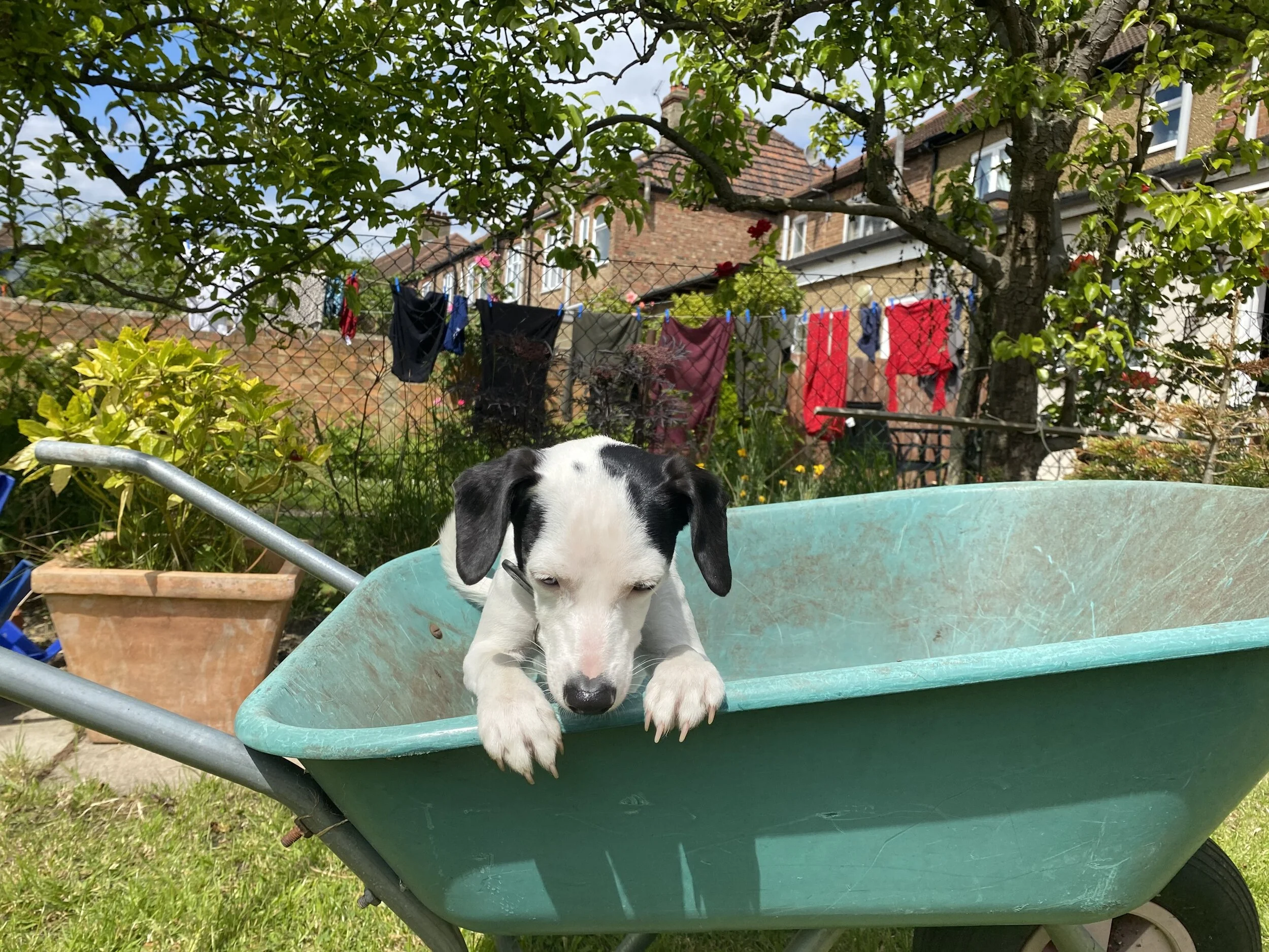 9DF1A449-C999-4173-91D3-9A249FD32793