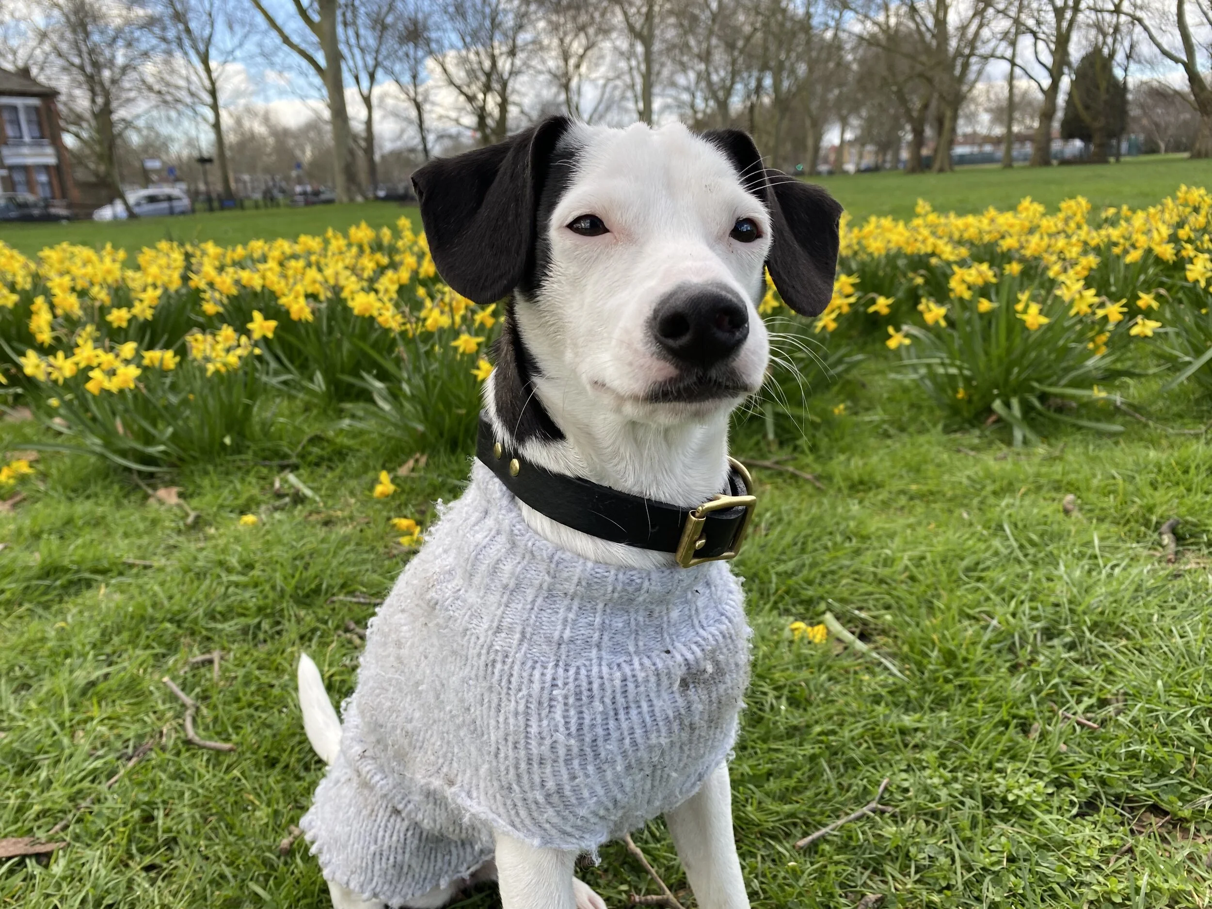 3724EFDD-7CB1-4385-8648-178E53F64B31