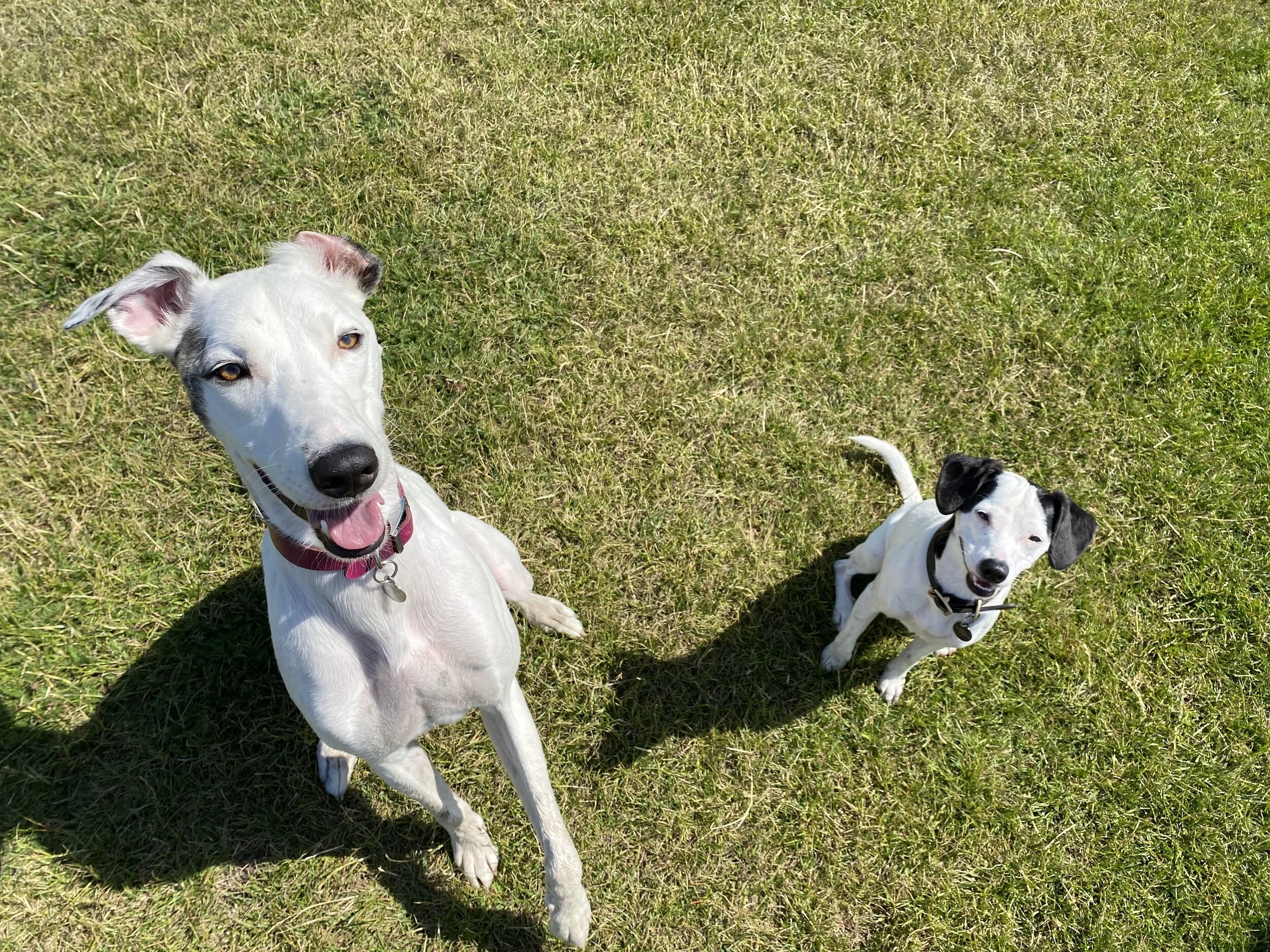 64276E66-37DA-4104-801E-EE2410C5EA1C