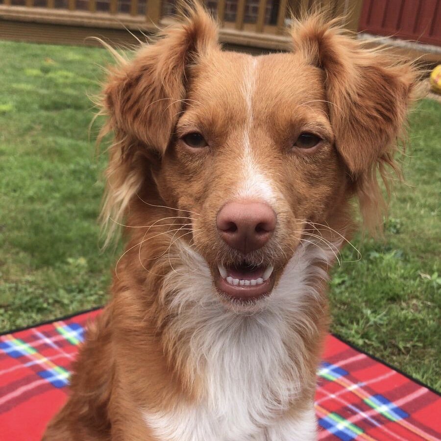 735D504D-9EC3-465B-B764-07470DB4433A