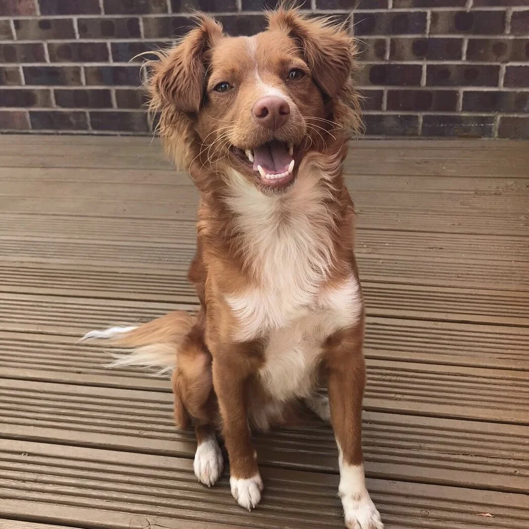 8DEE2609-4C82-4D3B-B3B0-C30FCB24CF4A