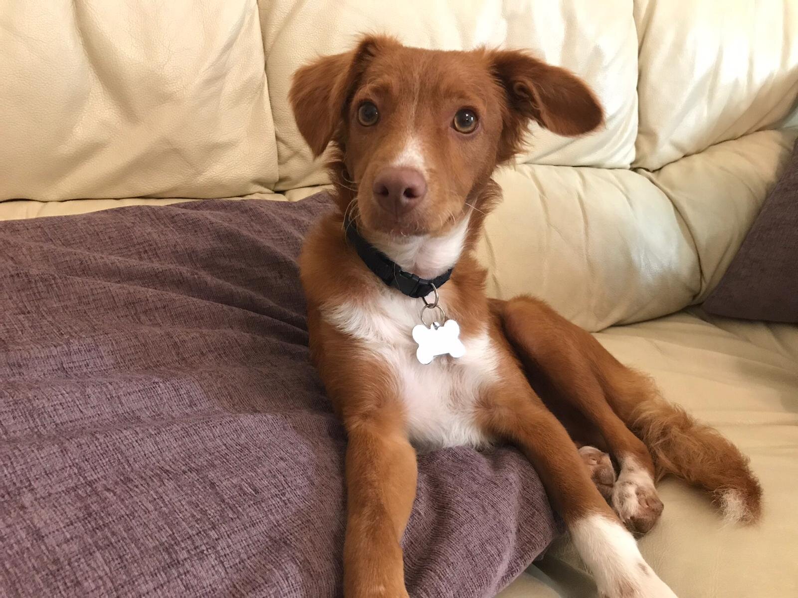 C518F9F7-9429-4304-9328-8B368A98D0DF