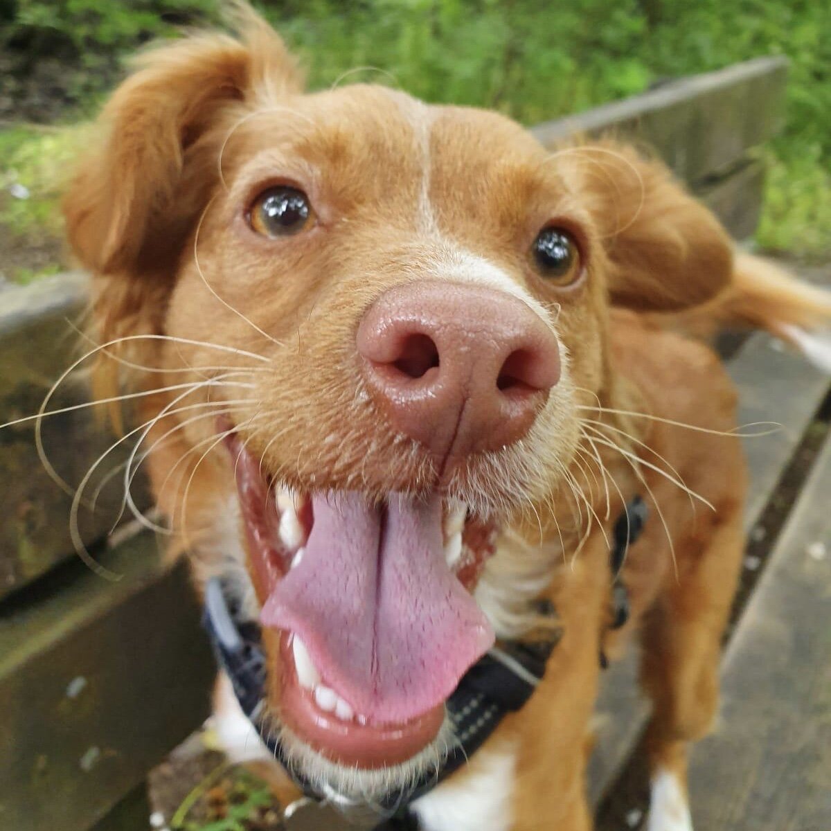 D27376CB-5DC1-42EA-80F4-535171E7B3FE