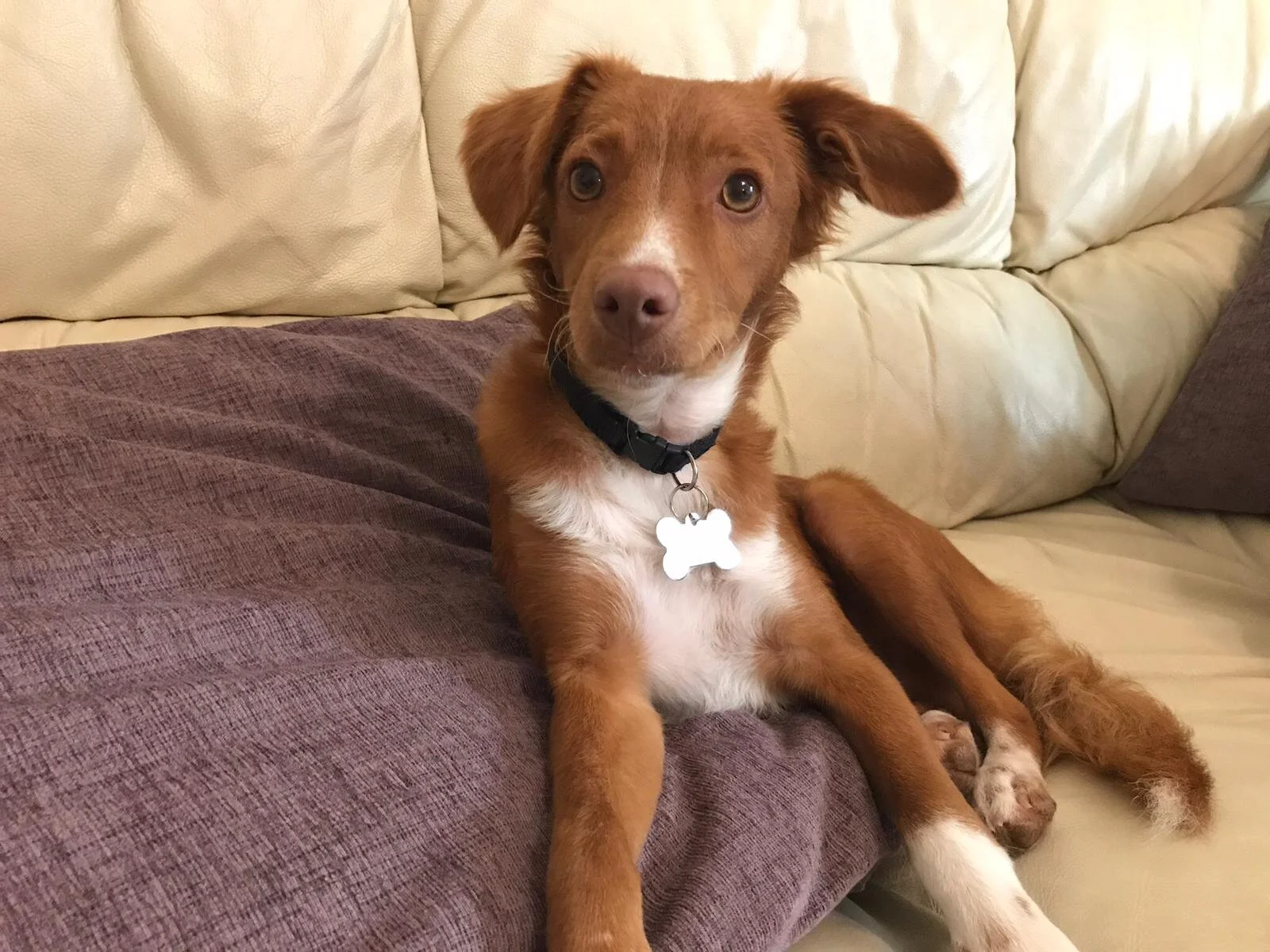 A452FD32-CEB3-4B82-B6CF-36EB8D5D2DA4