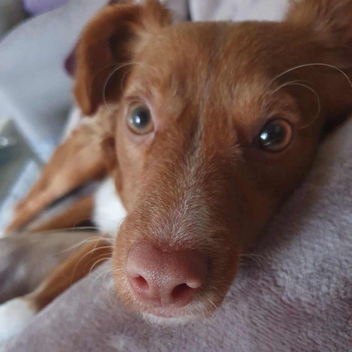 5C3C38A4-819C-4FA8-8C57-55710A459F6B