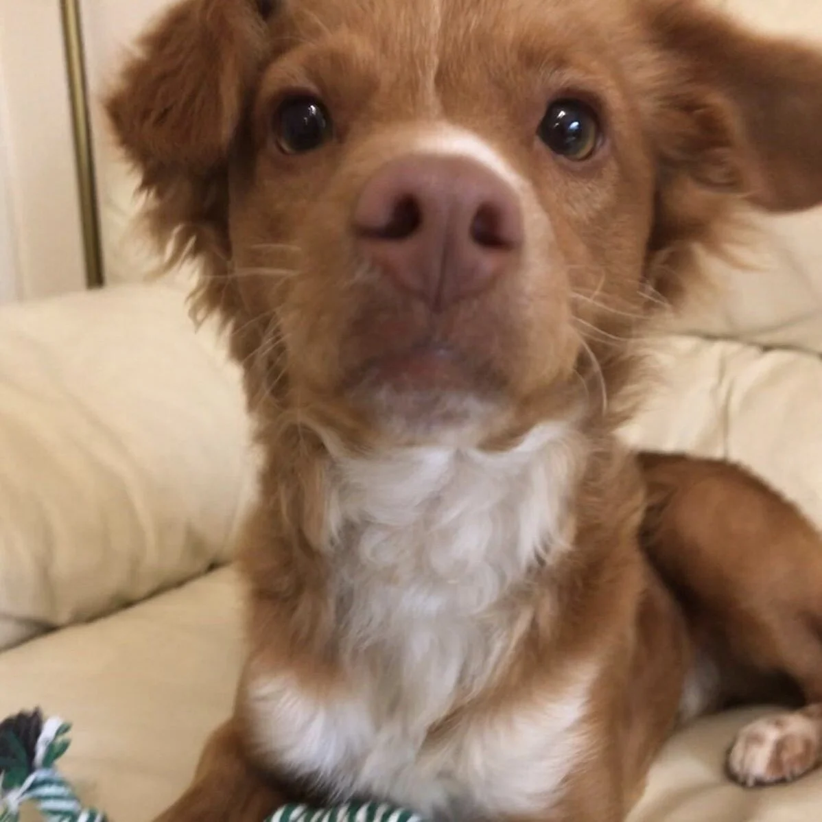 B5E25C54-E8DB-465E-800B-8479E8E6290C