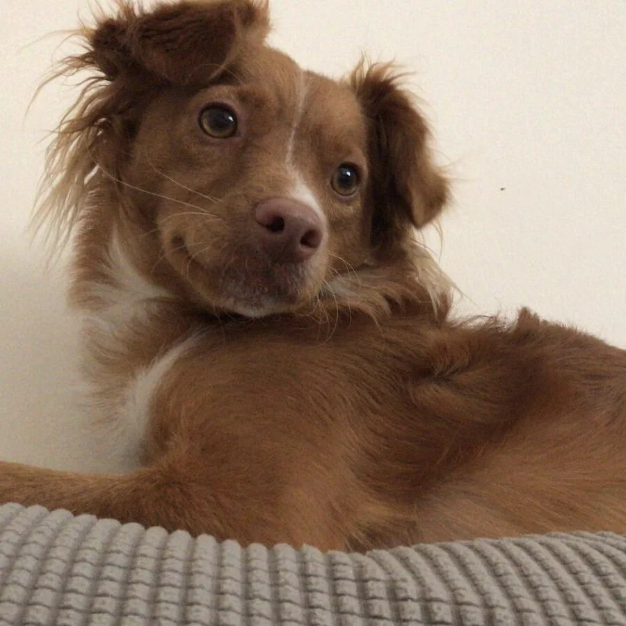 045925B7-7AA2-4741-914E-C2DD01C8357E