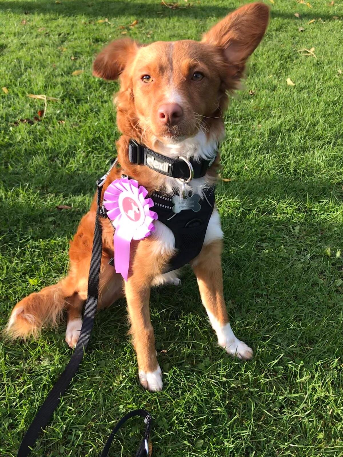 1B8EFB27-948D-4867-991E-20C883D8706F