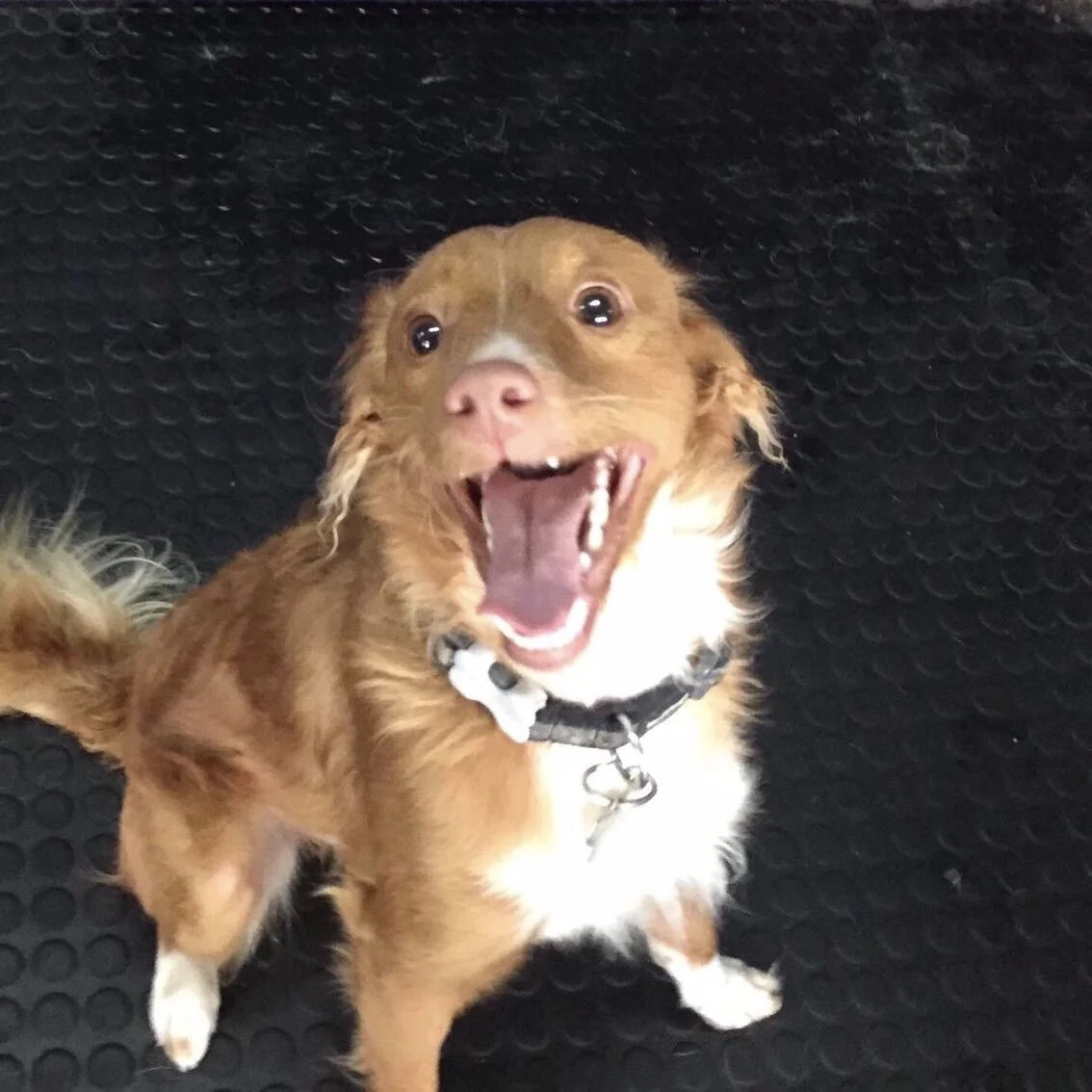 A6E6554D-F478-4CB9-8ECF-CF733B38A774