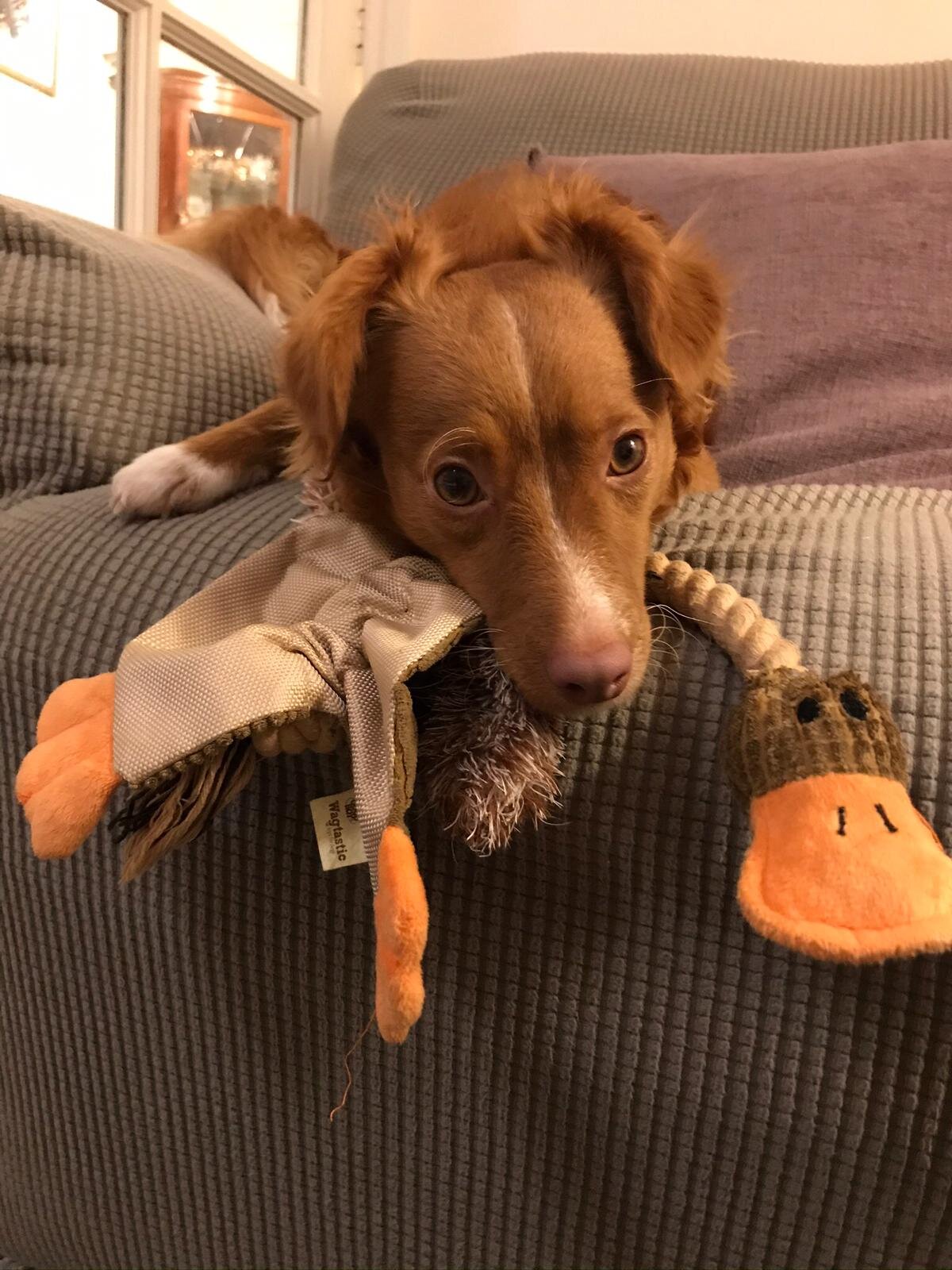 525DBB1D-1FCD-4E80-B39C-9922507903F1