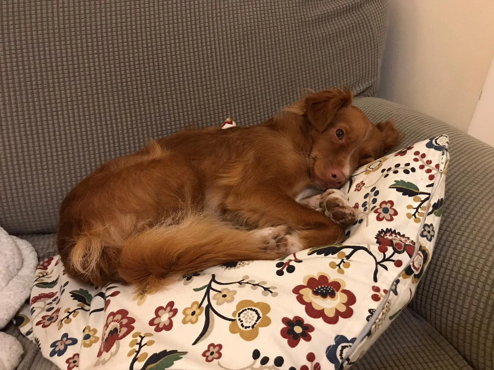 C84DED5E-99AC-4D46-A28E-EA7E9F9666F8