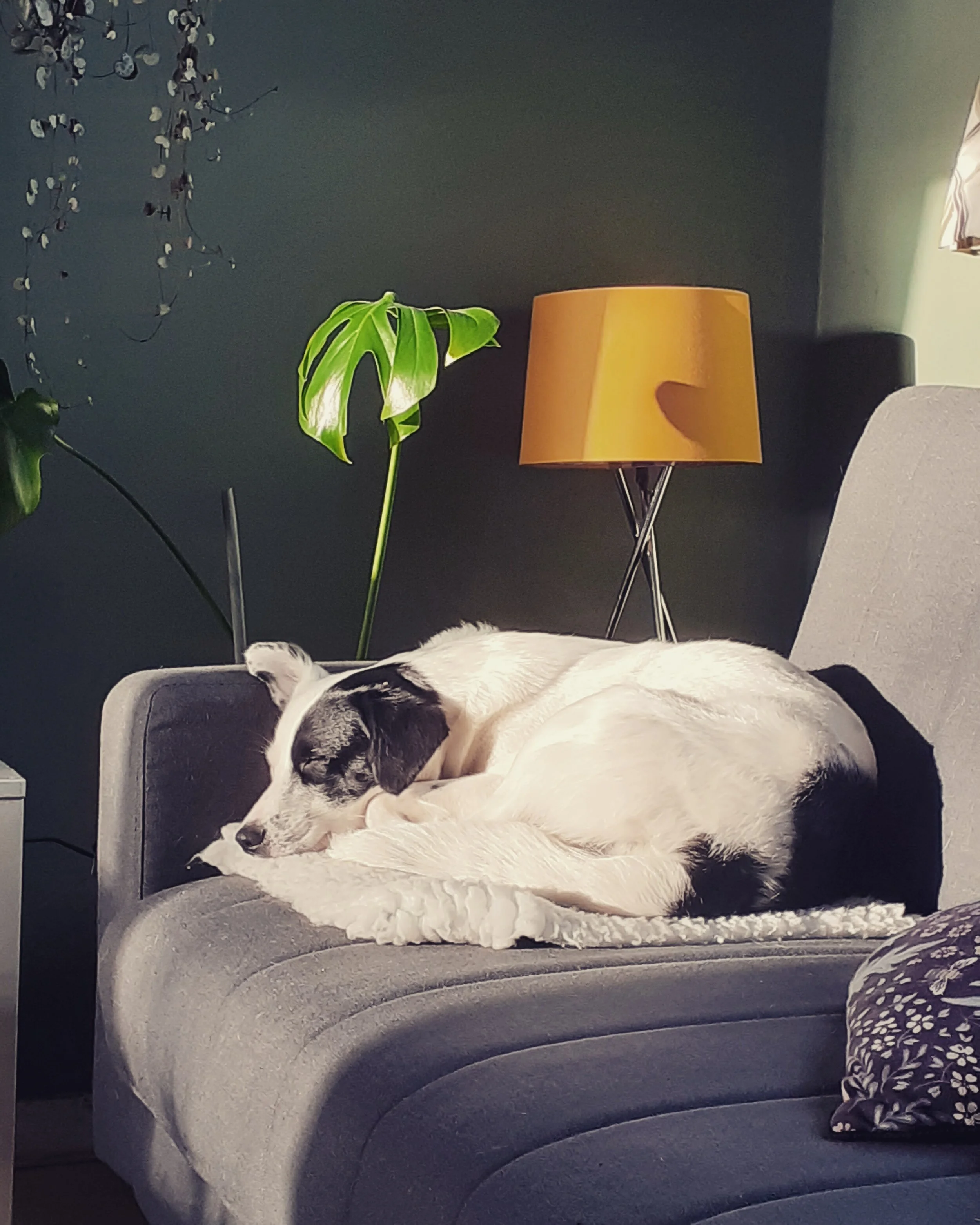 E46B4C01-E413-48CA-8932-645D6B594743