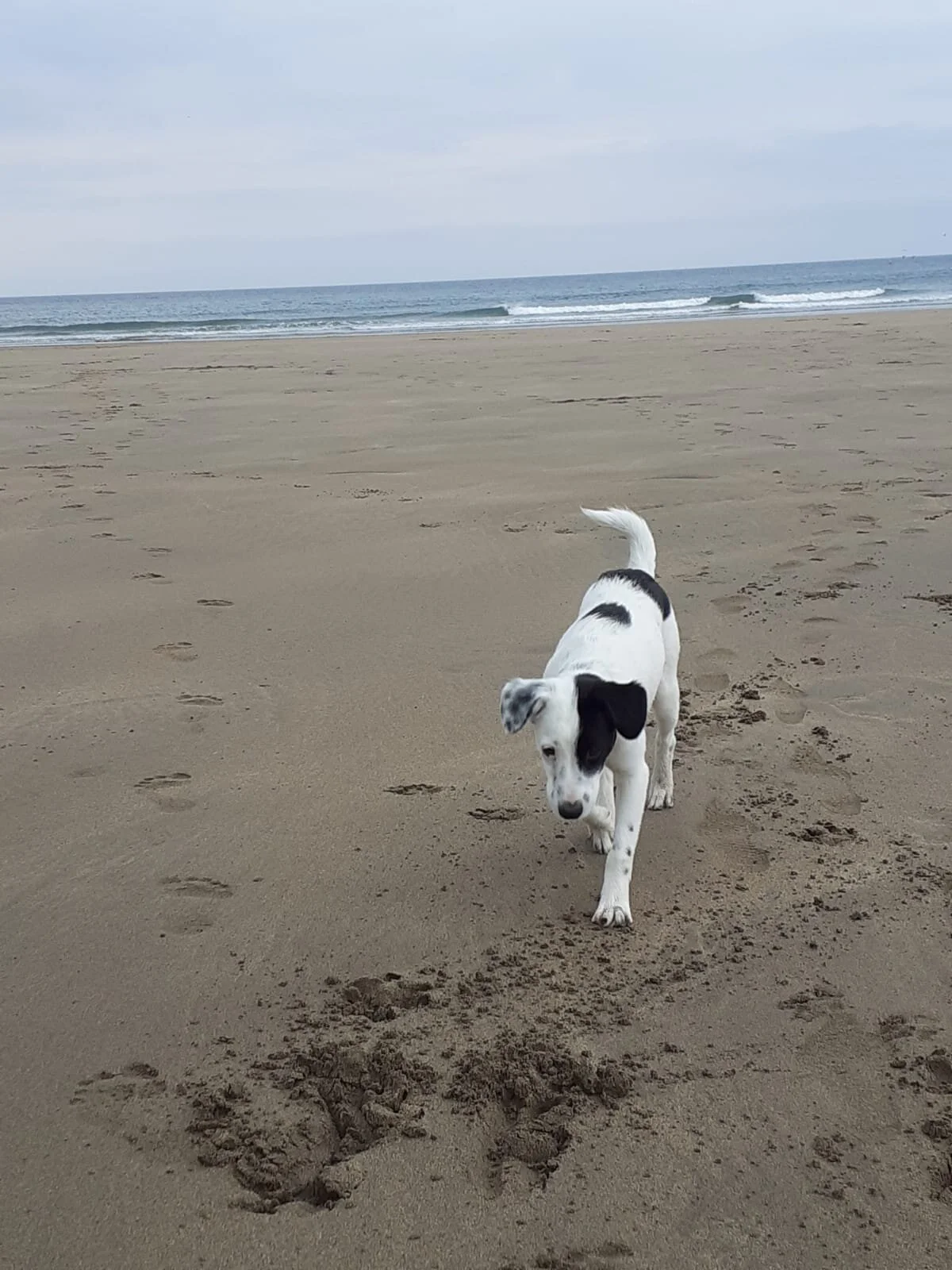 B7B699FA-AB30-4D39-B9A1-B742643A0266