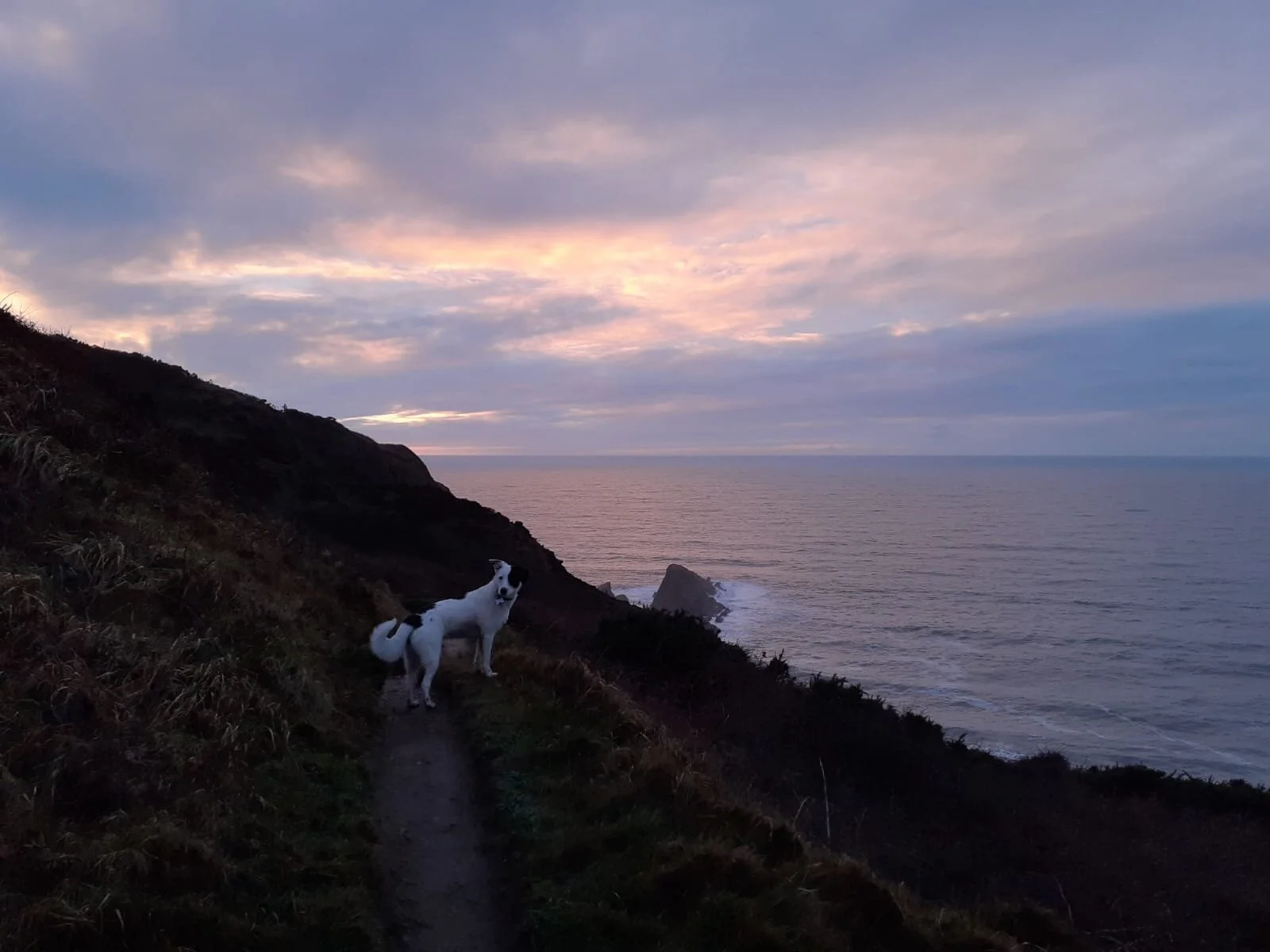 FFA6742B-68E5-4B4C-A09A-6B55AE6BDBA0