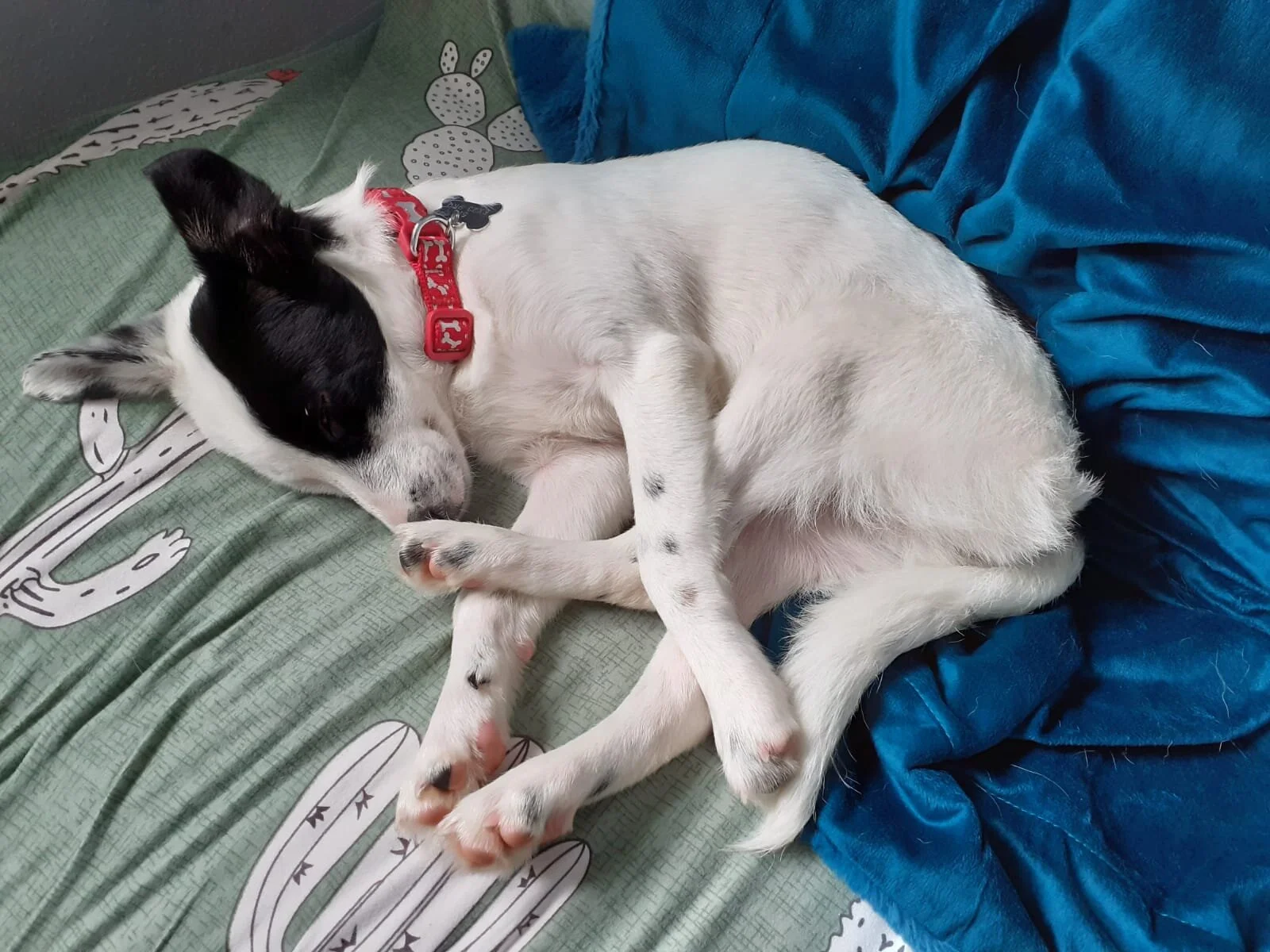 592D20C5-840A-4600-A0CF-313CBB1F72E5