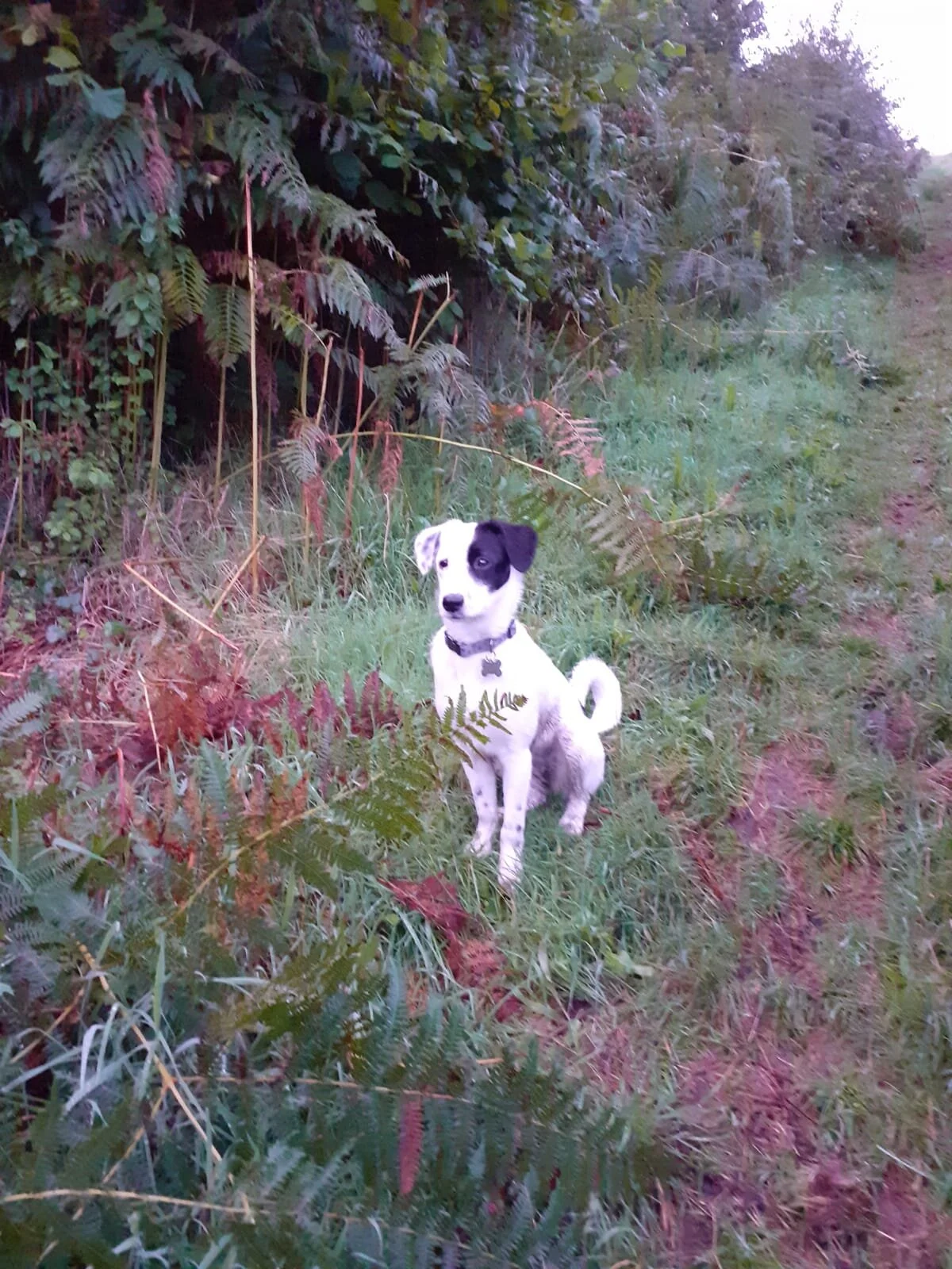 E2270EAF-8387-46C0-A37C-CB35AFD63E4A