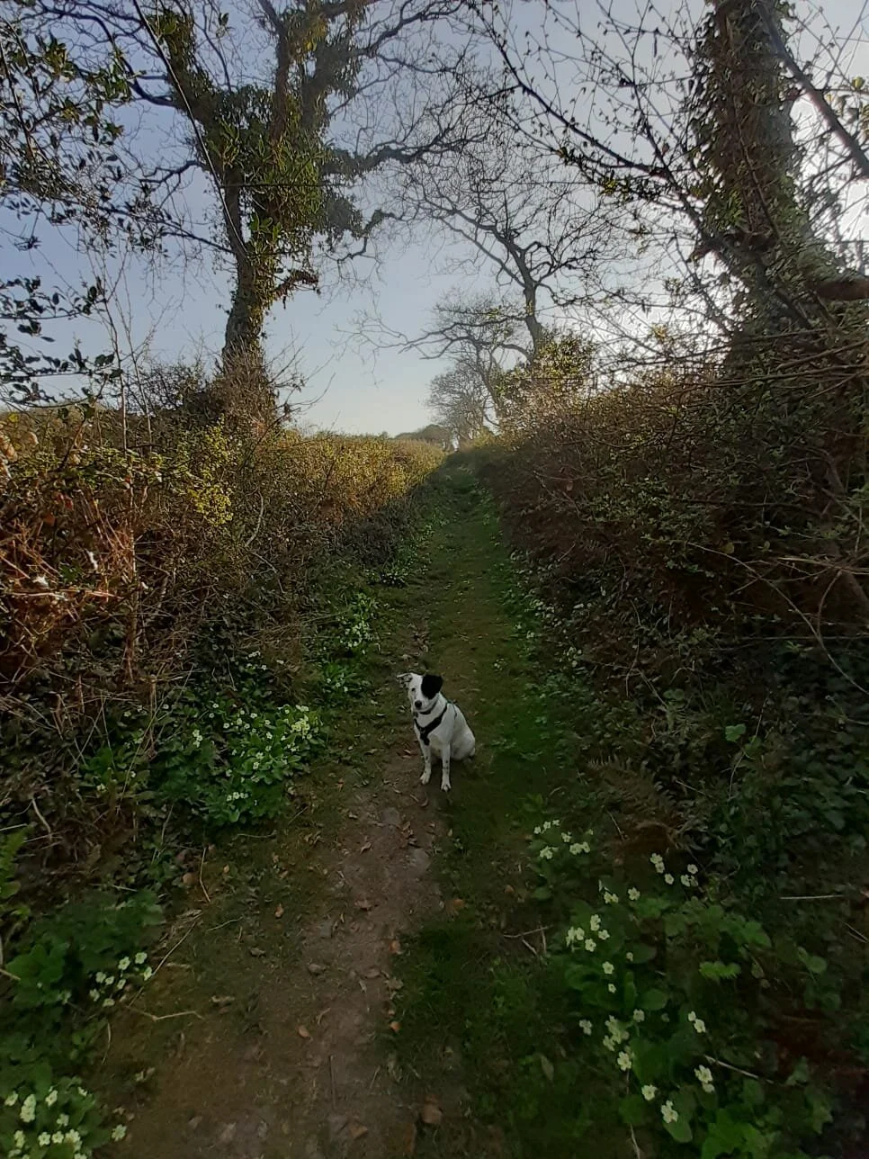 0535B4E3-7309-41DA-B910-DAB3EB84DFDC