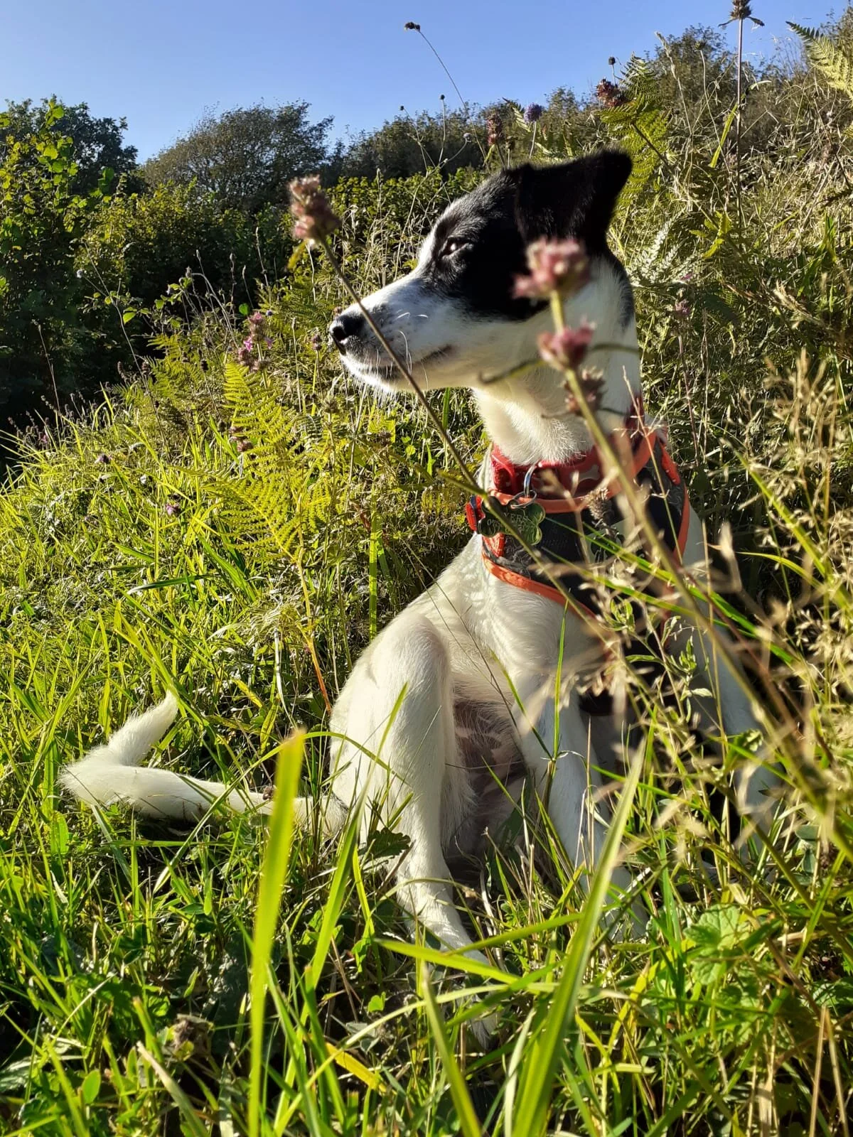 FD8CA9B7-043D-4448-B5B5-E2A1BA3DDDEA