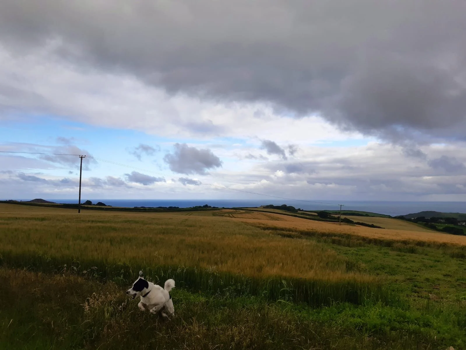 82BE2BB8-29A5-4EE0-A8F4-A48F077D5E6D