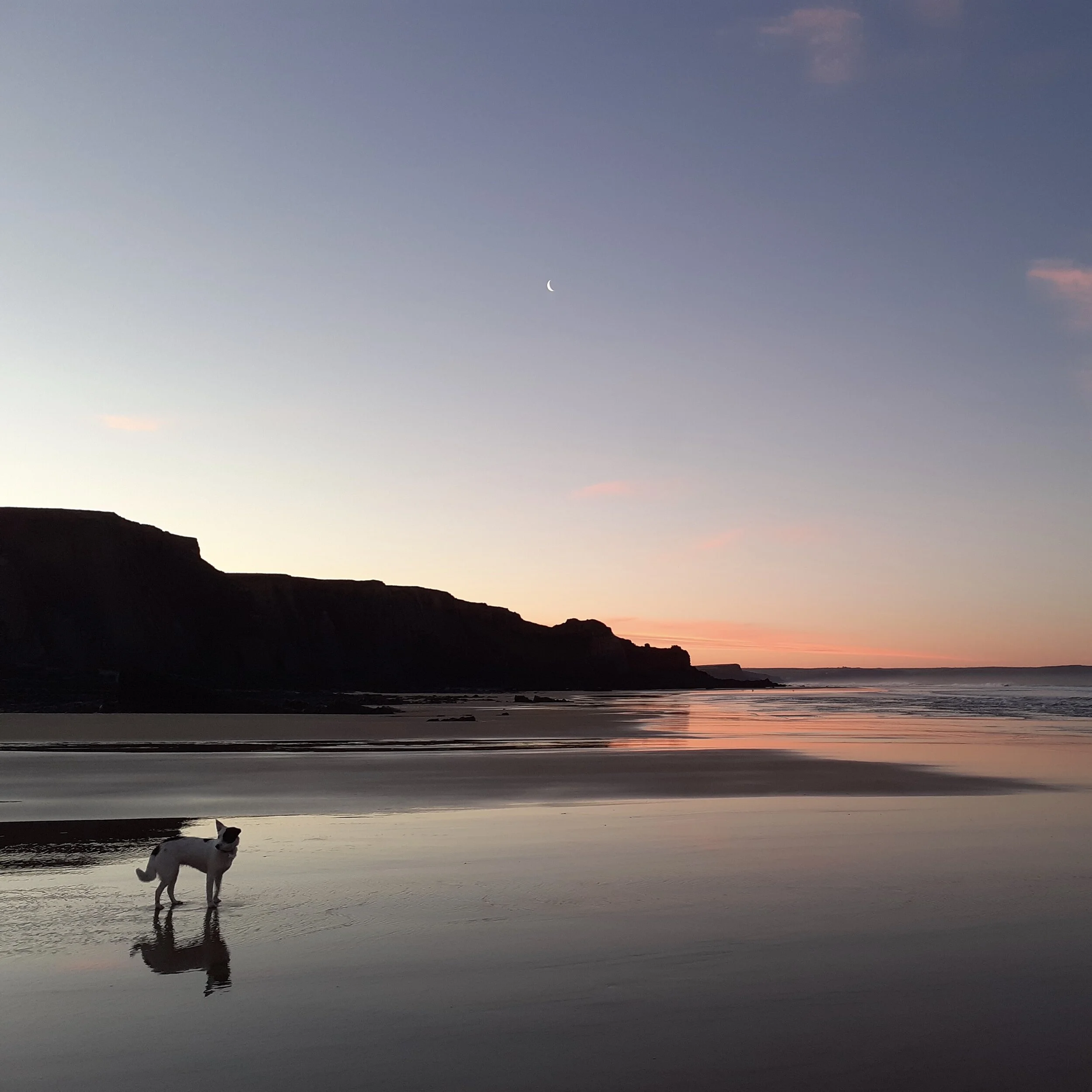 C1DD4918-698A-4507-ABE0-750DC9172E13