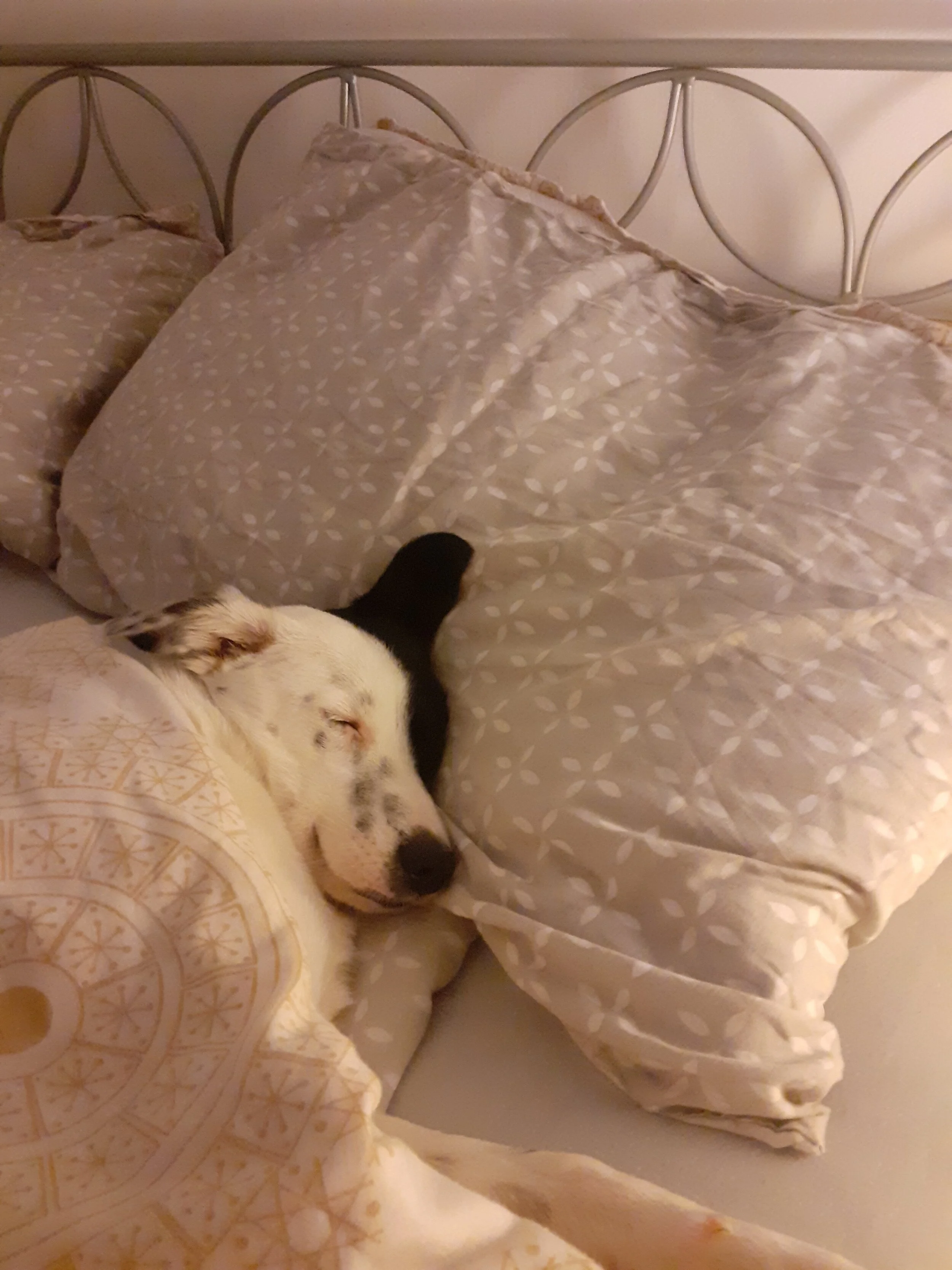 916C644F-84FC-4C9A-88ED-44CC2A4DA17B