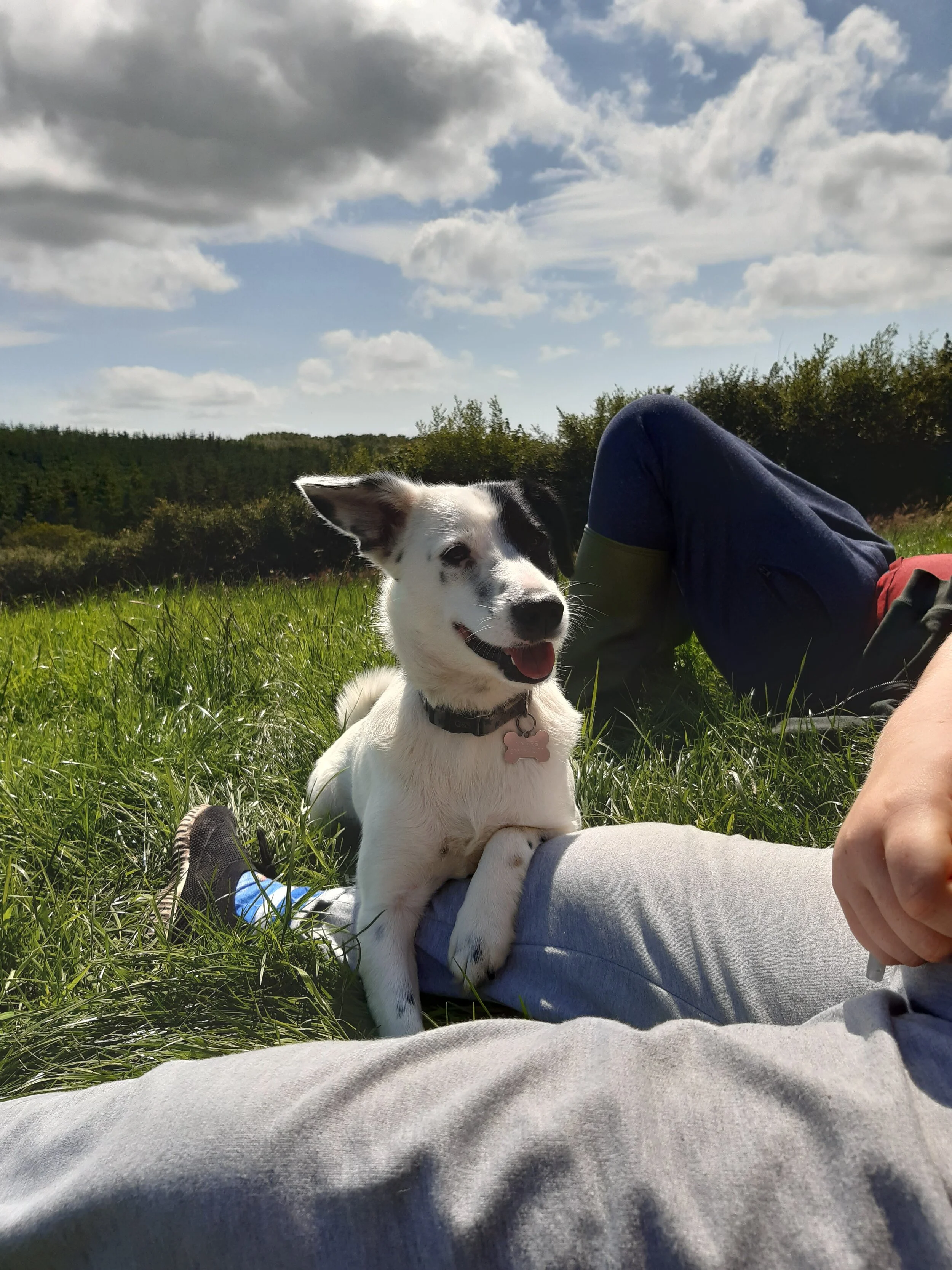 2597EF7C-F776-41CA-8507-B22537233E30