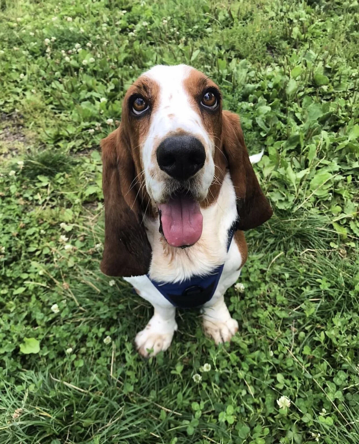 E6E35017-8355-476B-949C-7E582AAB87C1