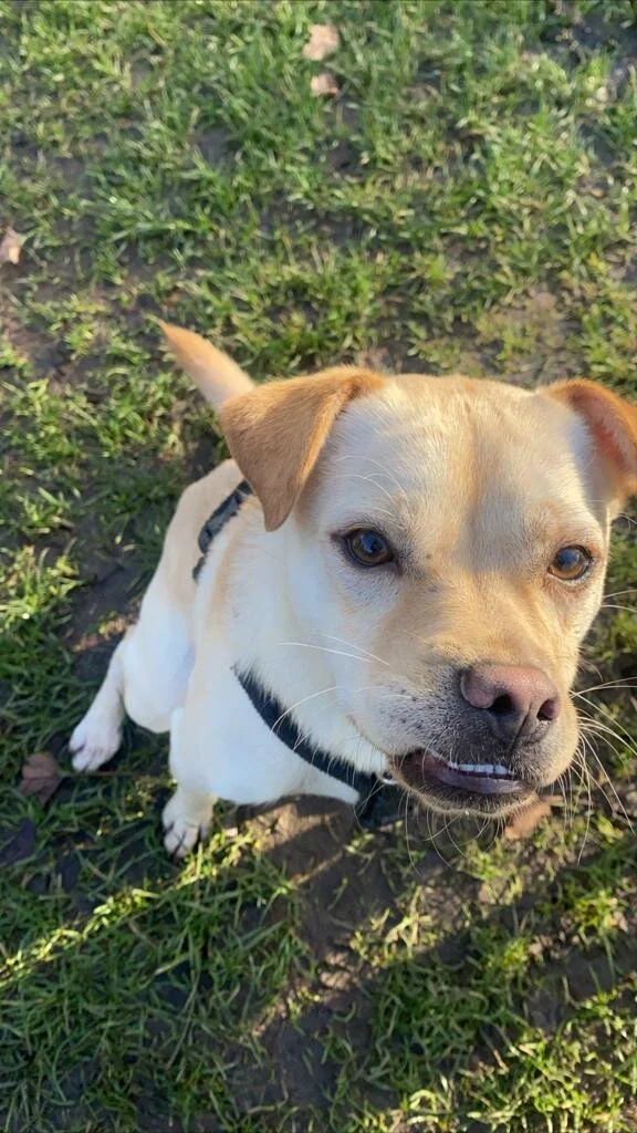 6FB2B2BA-6E89-4B95-A44E-EB10B3A4A75D