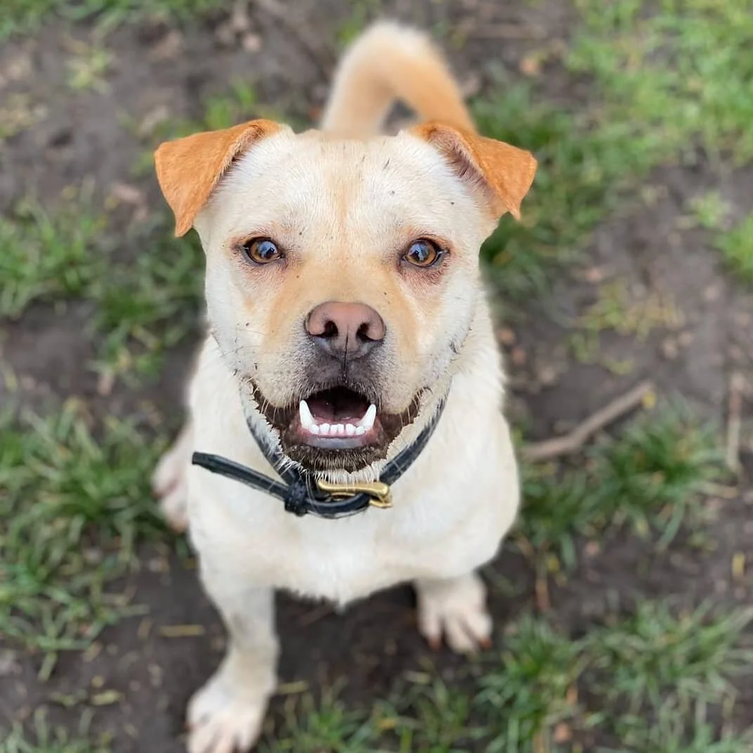 82C0205E-967F-4E67-A773-9E11B36B6E81