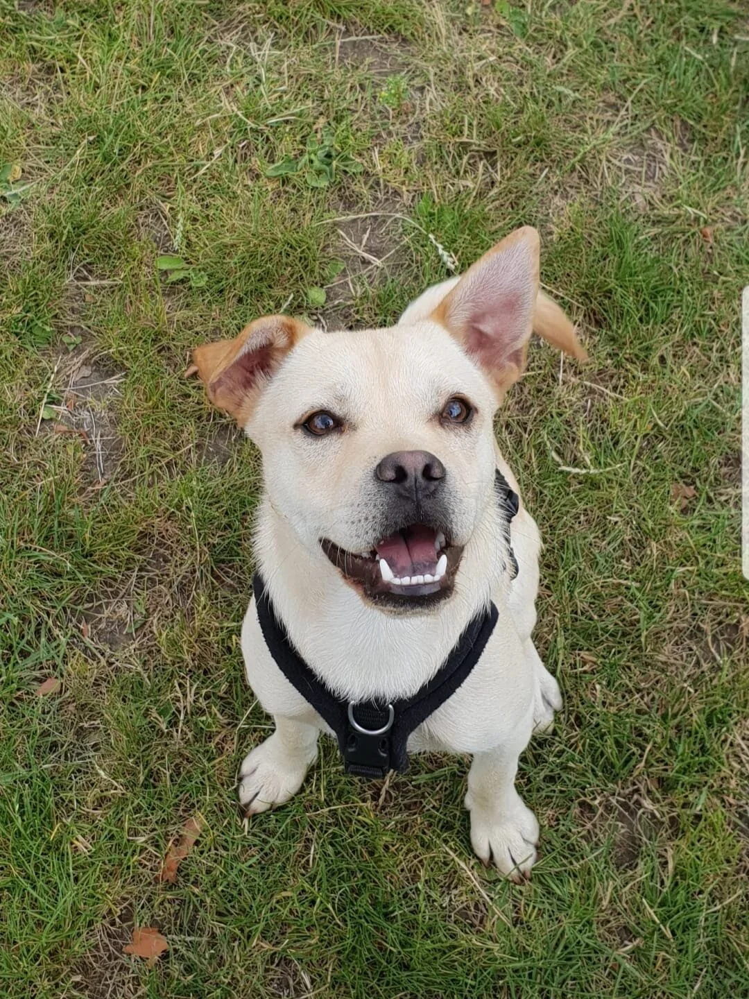 97D70F4B-7EEC-4898-91A7-34EC1D0EE33F