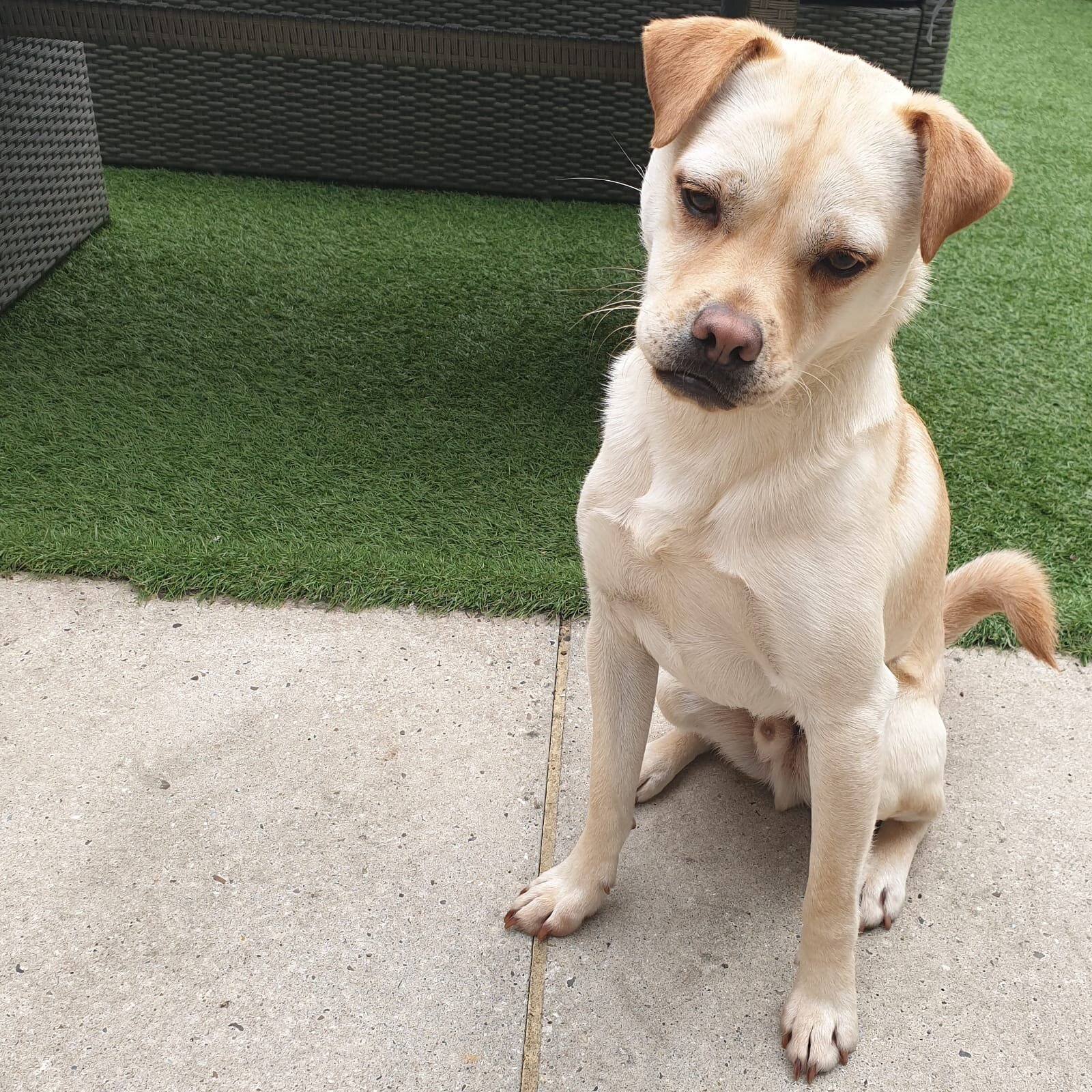 530AFDD7-F63E-4197-A573-9A4D306B1C81