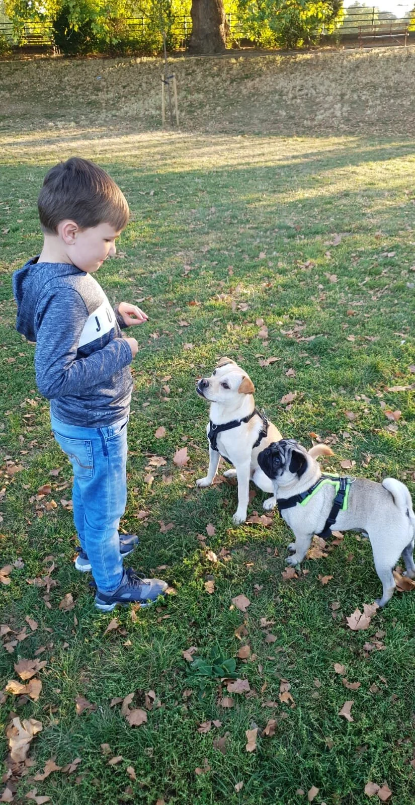 359608F0-D1C0-4E46-A55E-A020FC90C901