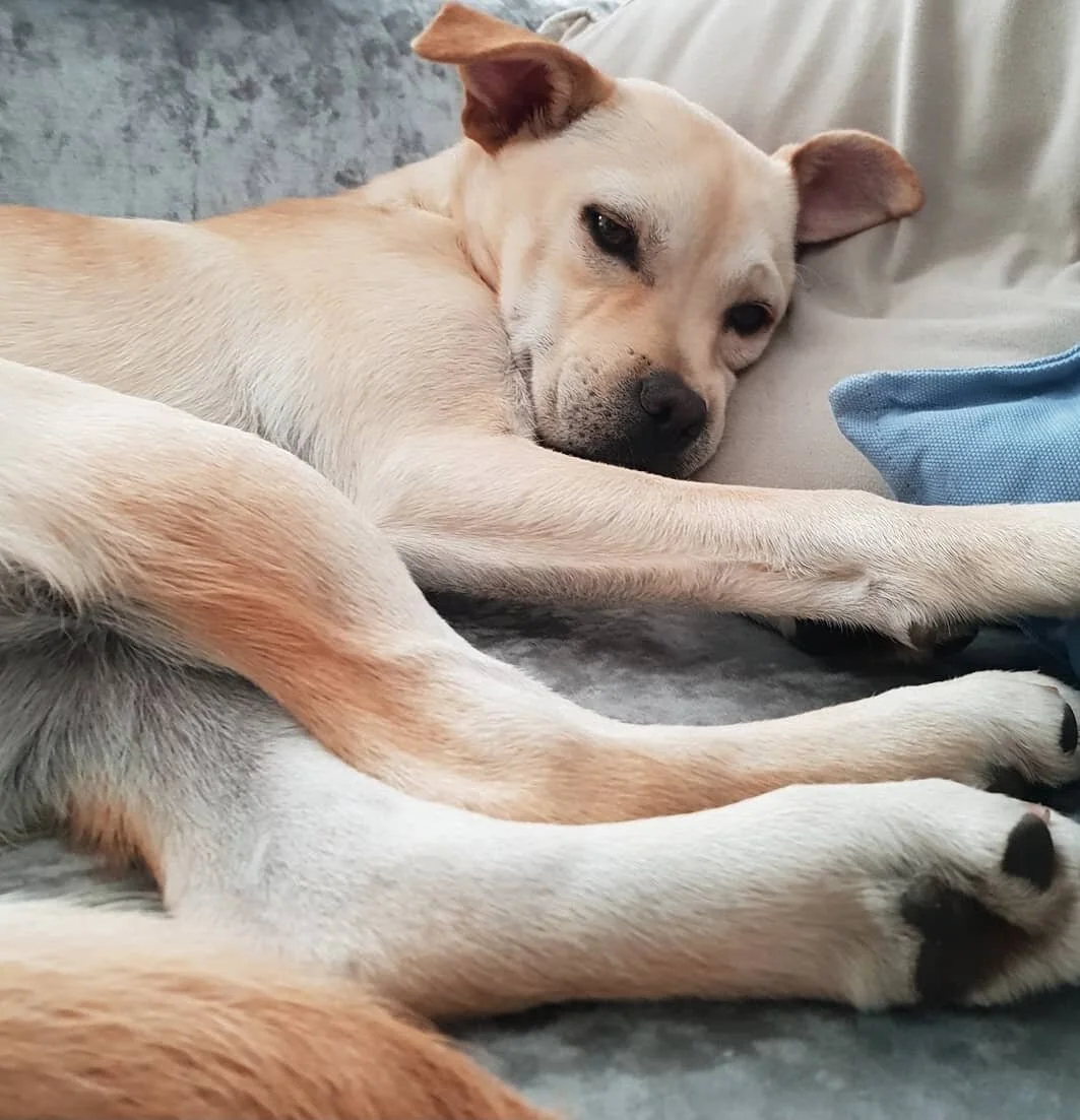 B8D15DFF-64E1-44F9-BDBA-43DC76C8C564