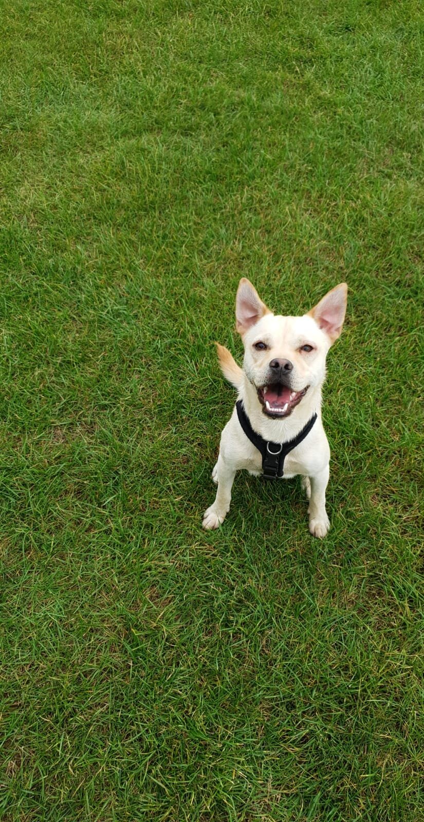 EE942A00-635B-4A40-A3C7-BF9335B1F9A5