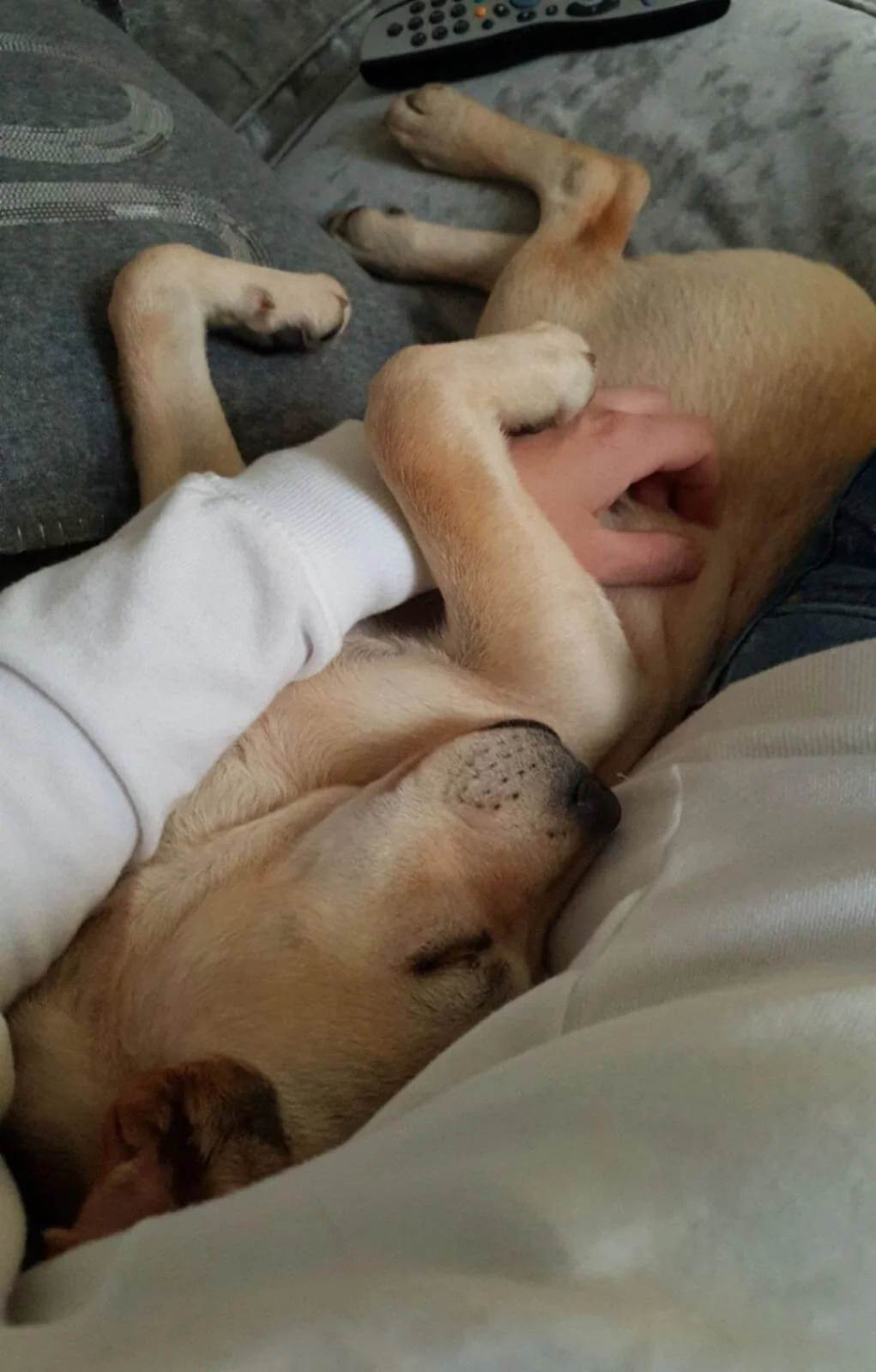 EB1498B0-80FF-46F7-A561-806454868D3B