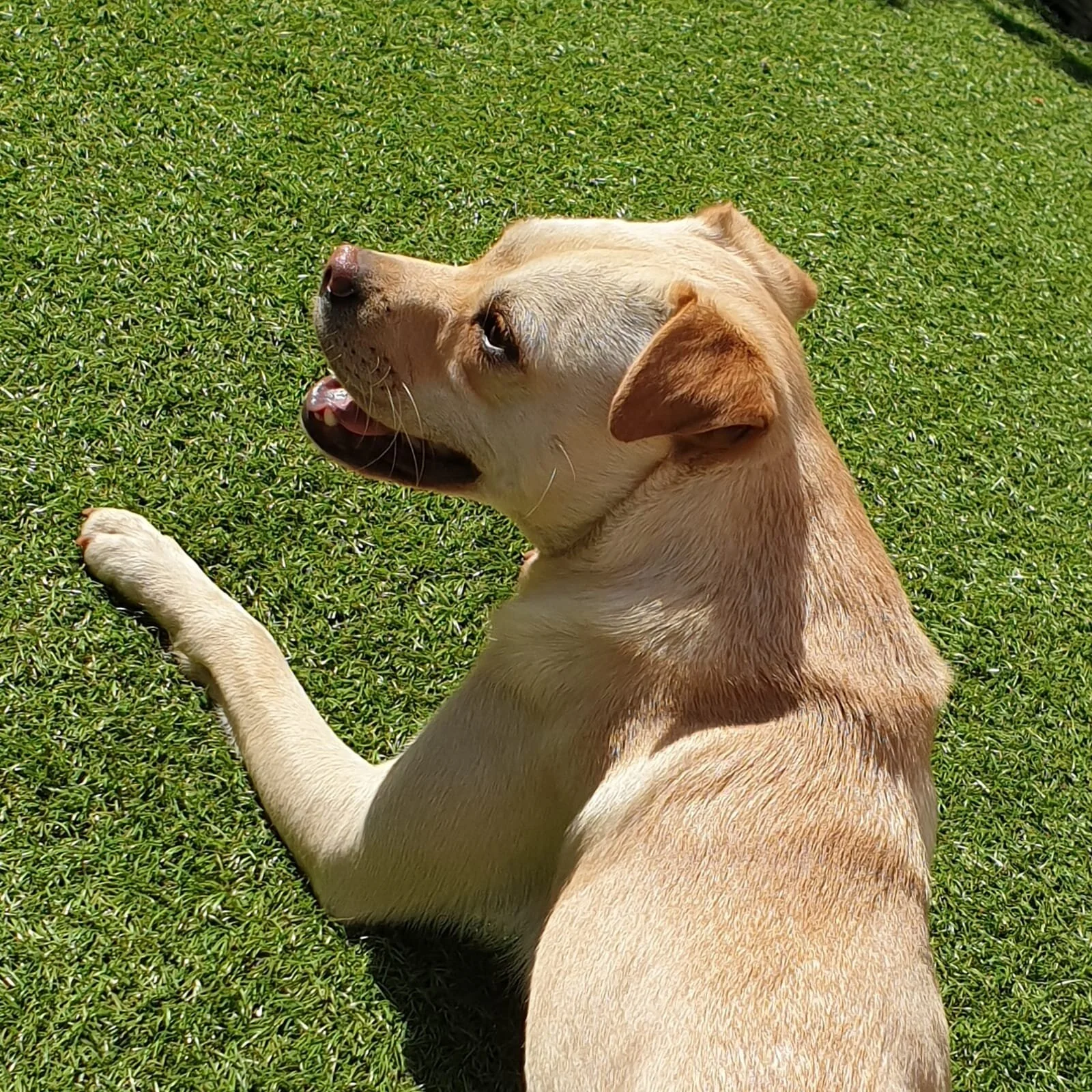 9F5BB144-990C-49D0-974B-56C97A4436D4