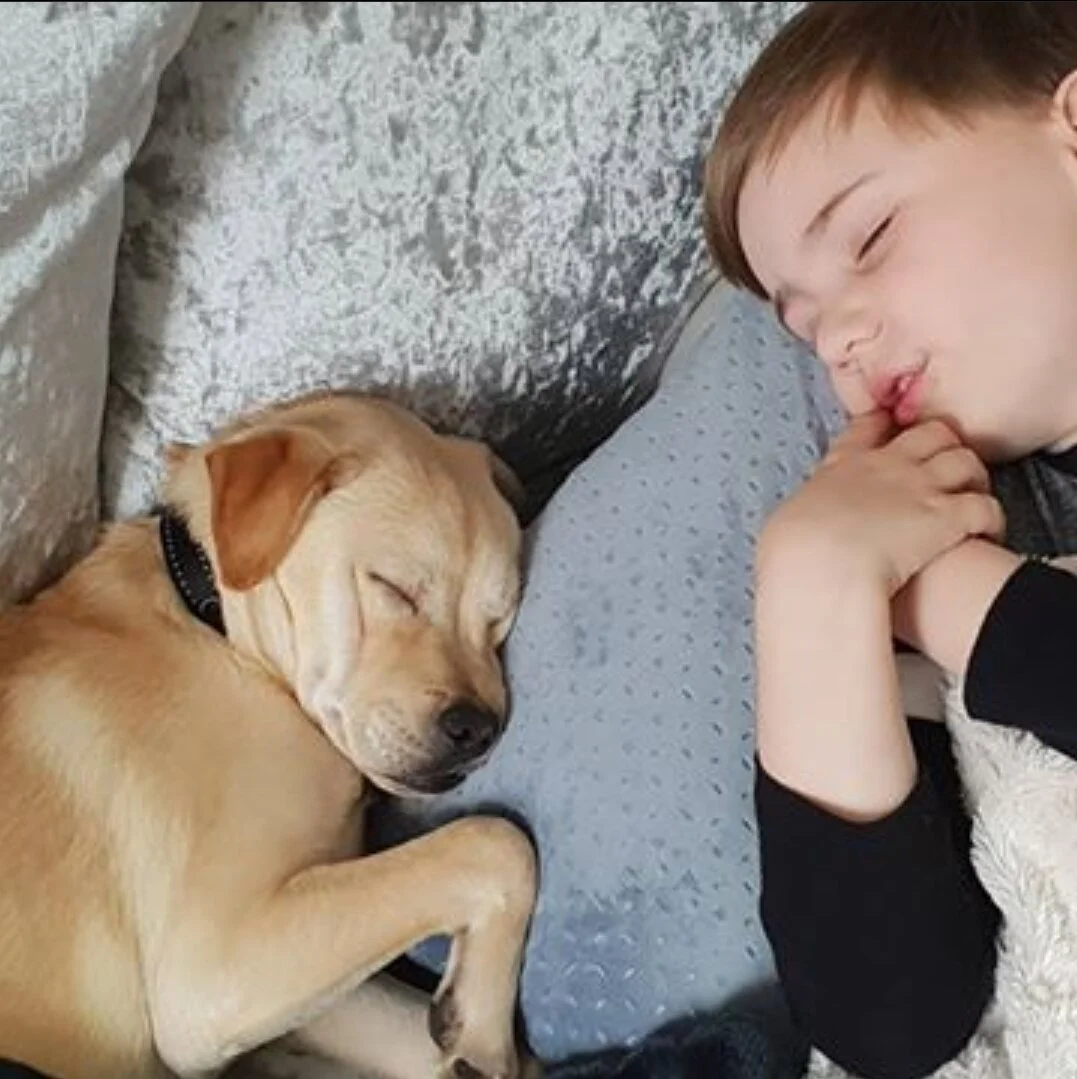 2D87C2CC-BDBB-48C0-AFEA-F3084ECBE9C6