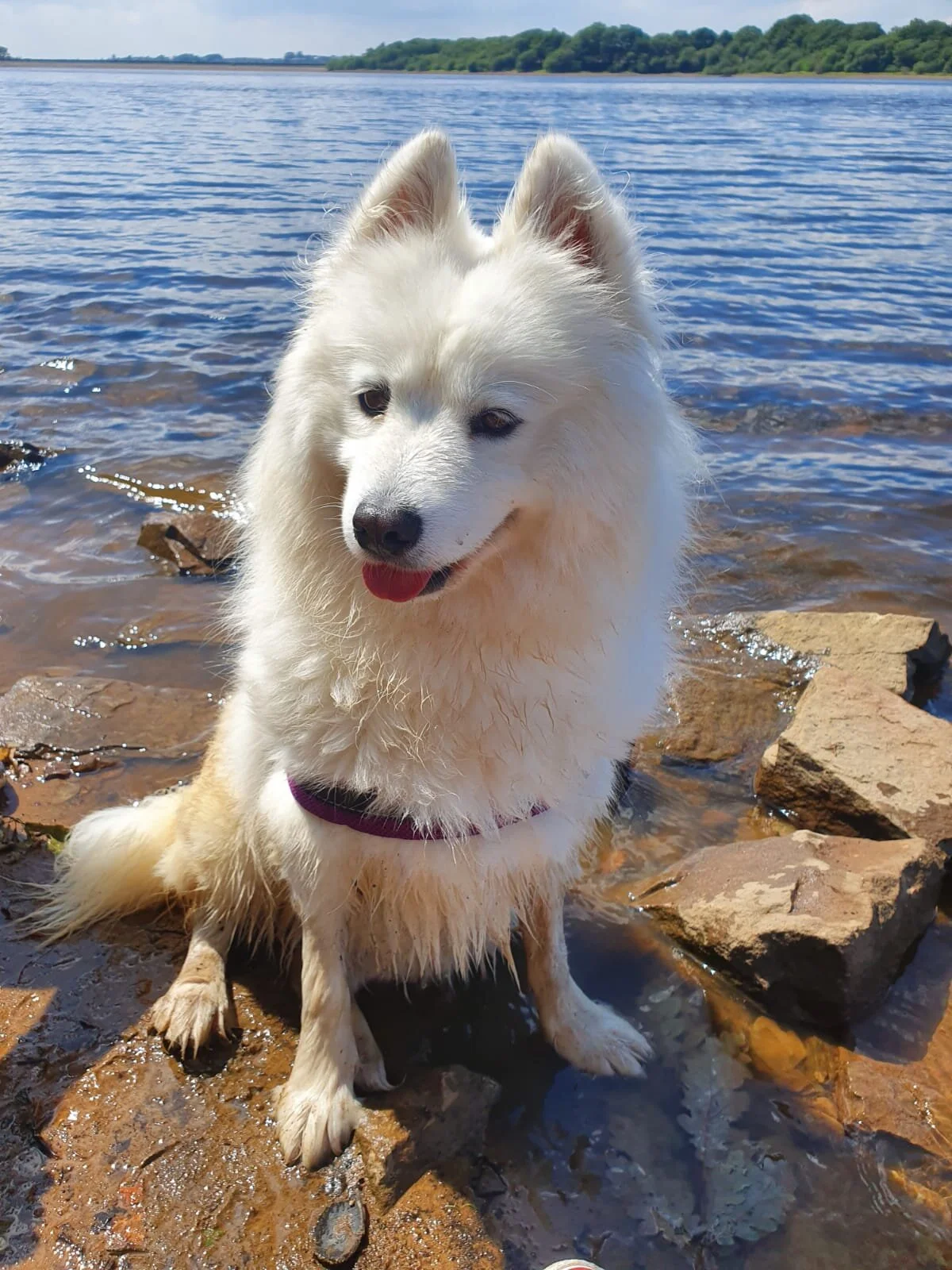 F070E489-EA18-43BF-9EF3-C28411A49715