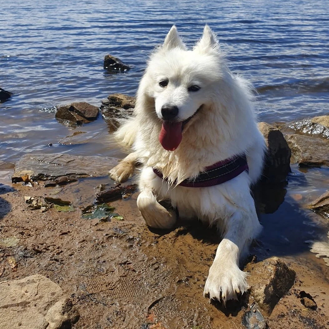 E634A663-8BA1-465C-86B6-6155CCCF7264