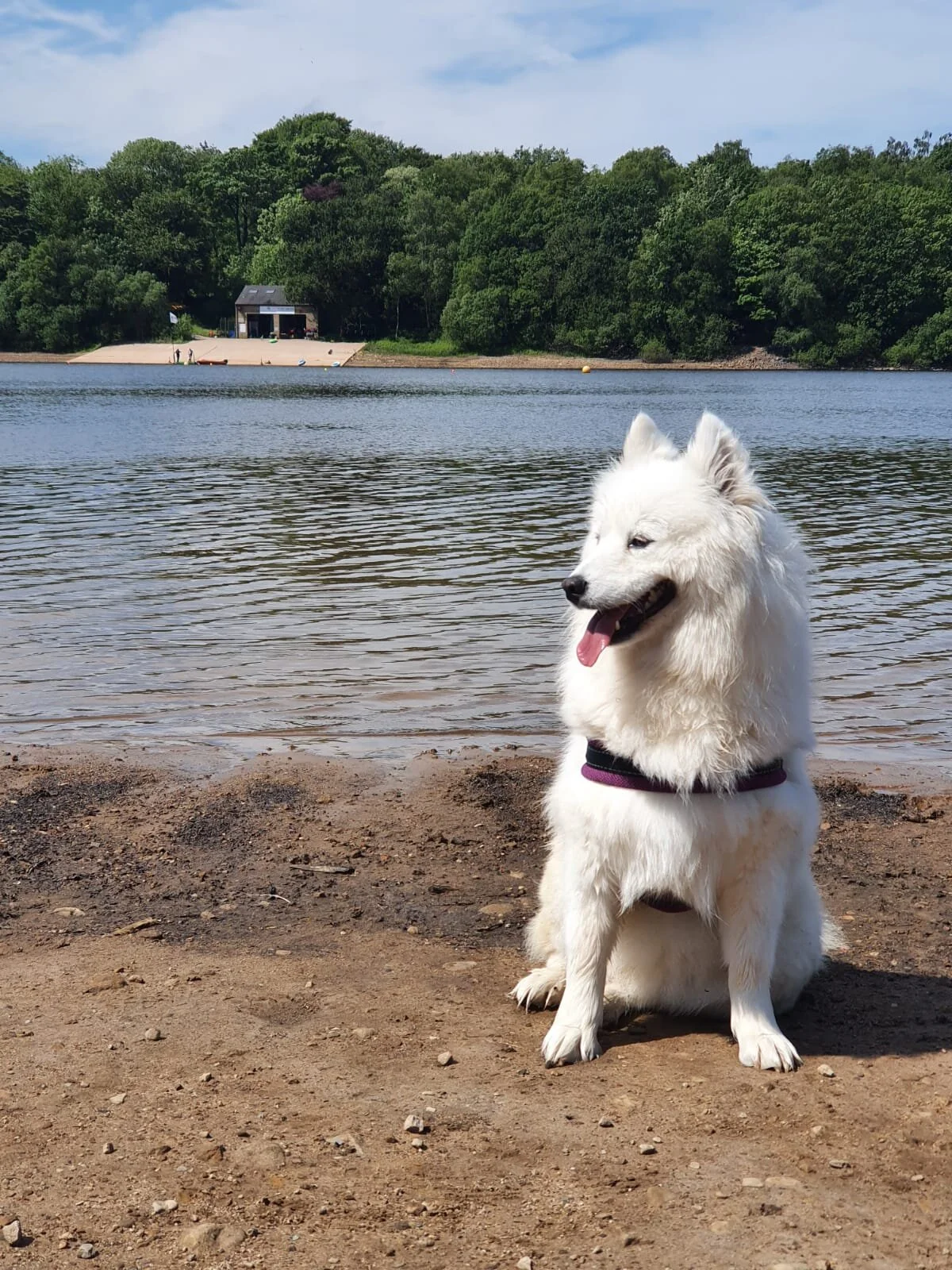 F7E3EBF3-AD3A-4365-B6AE-F10C9F2A6B81