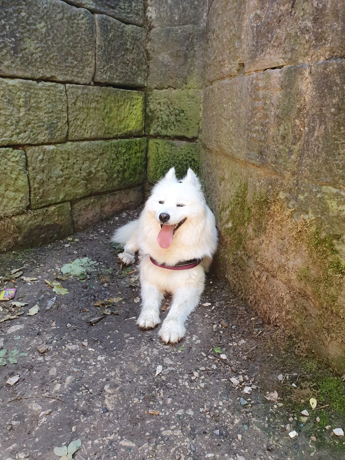 D997948F-CD81-4EAB-8AE5-44225676B50E