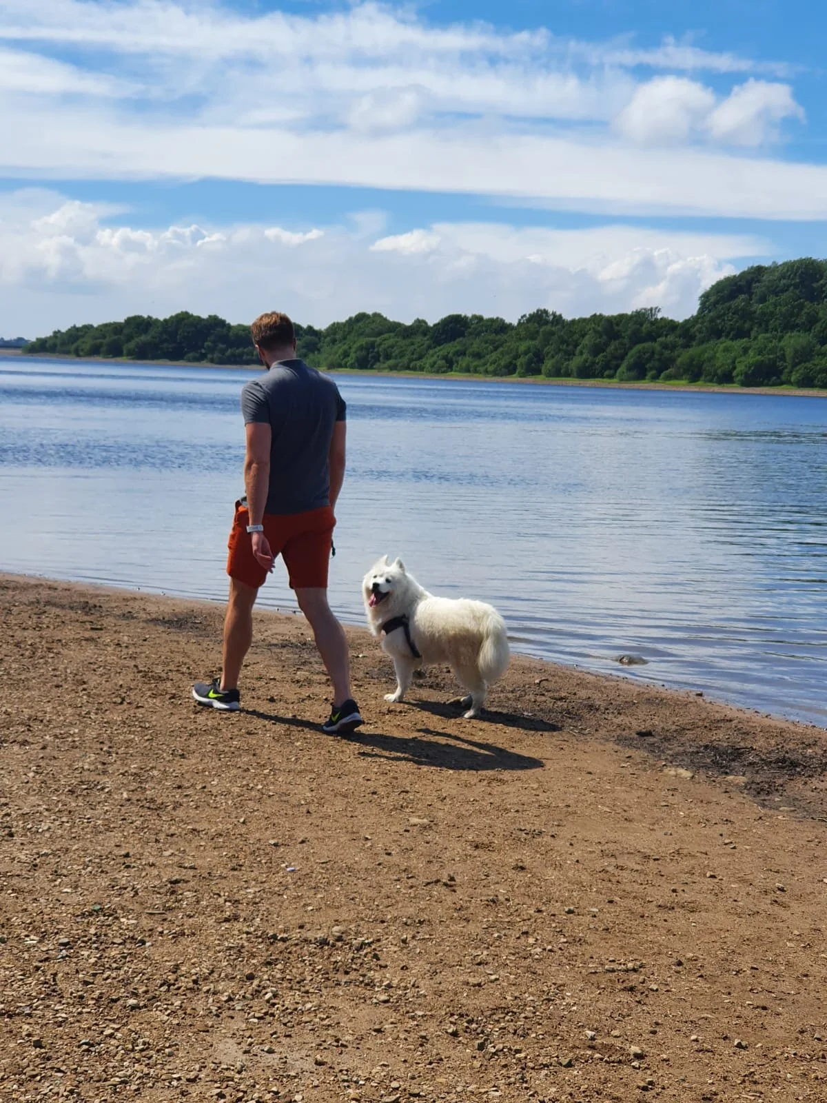 EBFE8E42-BB3E-4F95-80EF-D4F487ADF1B8